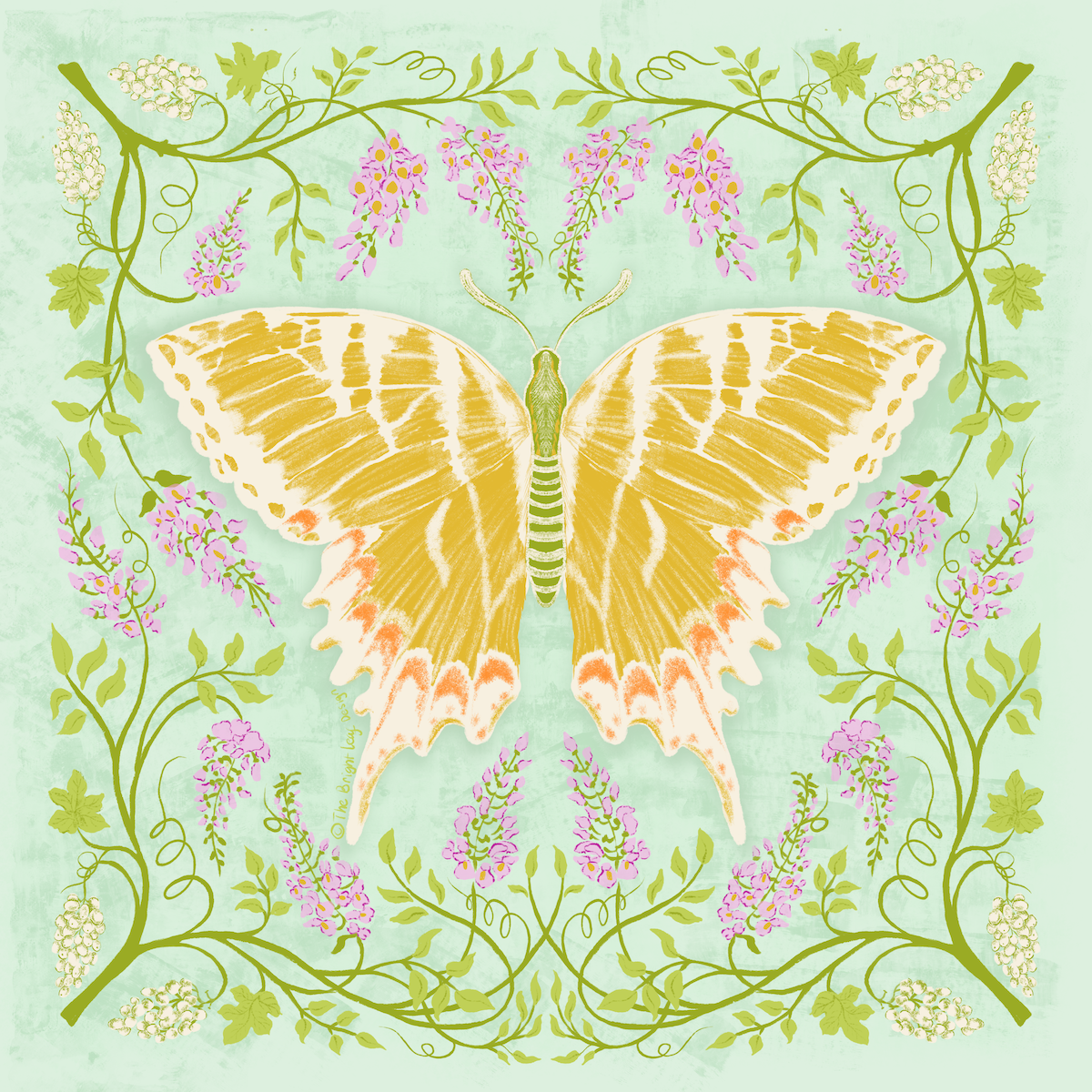 May Art Nouveau botanical illustration — yellow swallowtail butterfly with wisteria and grape vines in mint and gold by Jean Pham The Bright Leaf Design
