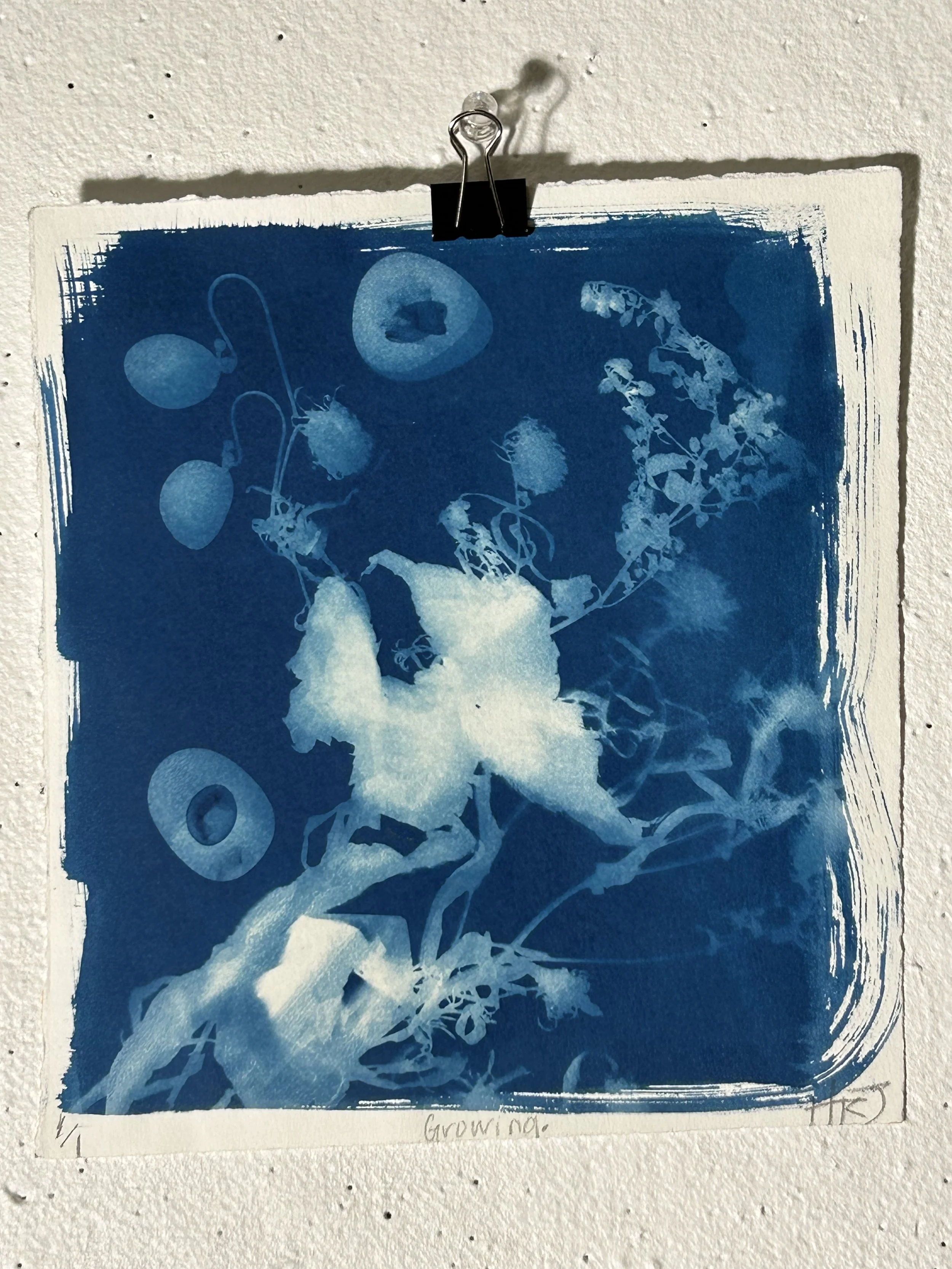 cyanotypeisthehype.jpg