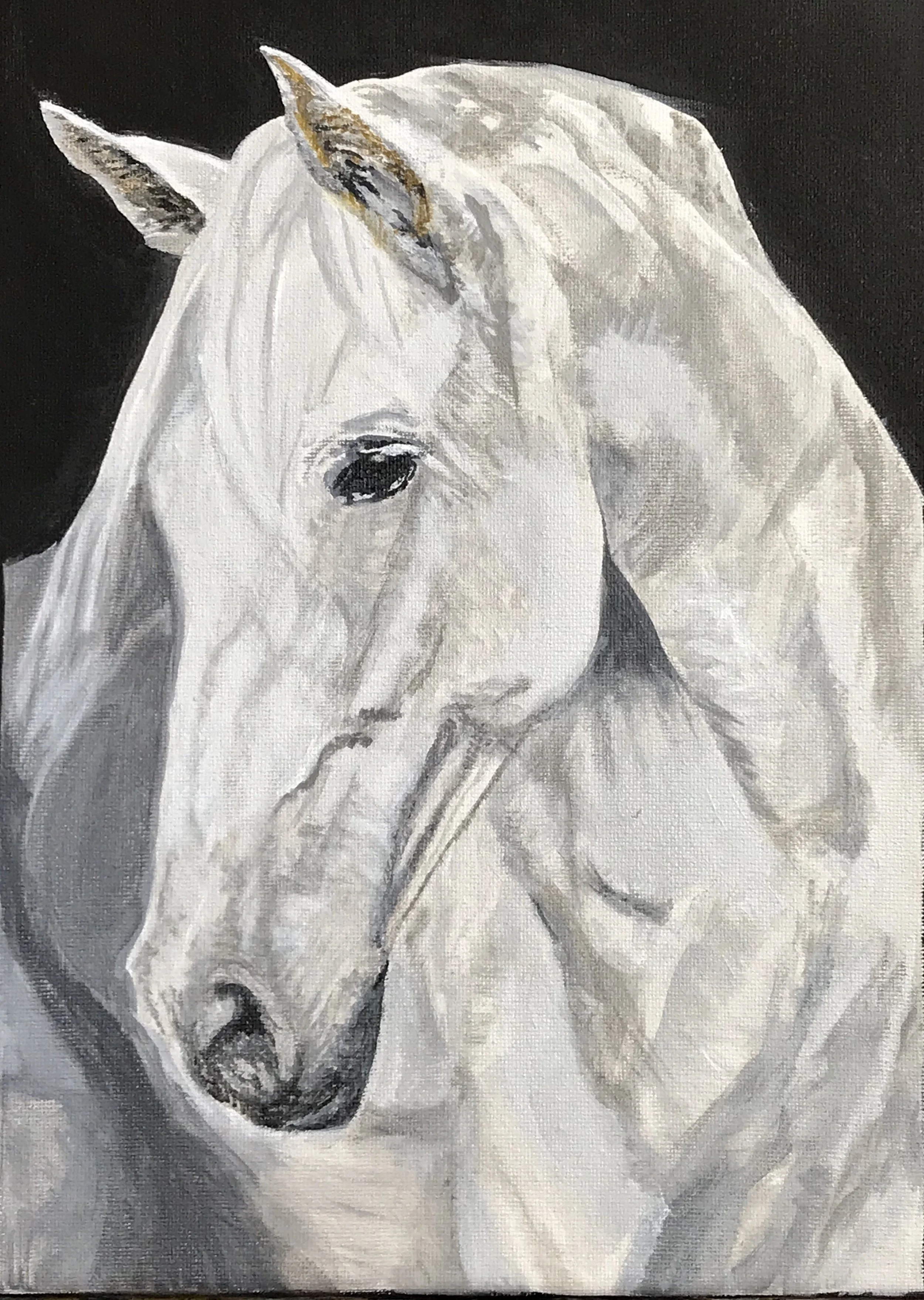 Psychic Sedona Kate McGovern Acrylic on Canvas White Horse 10 x 18