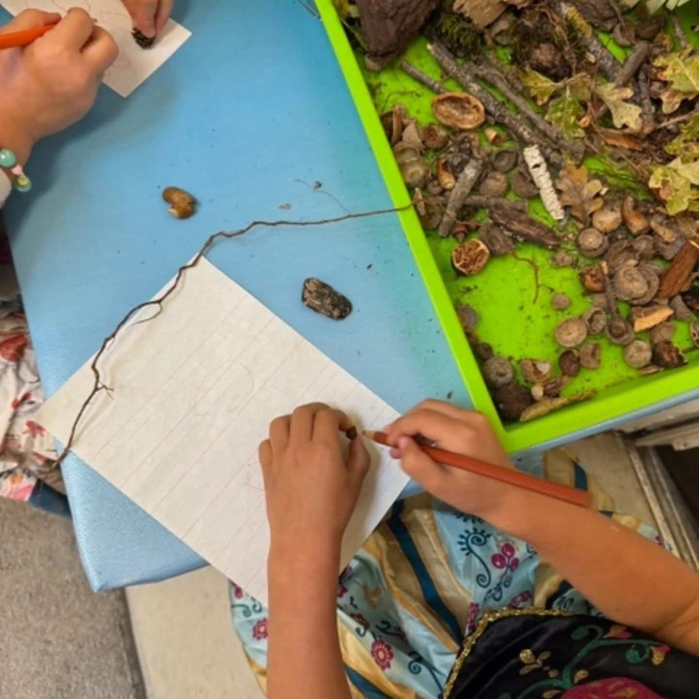 During the month of October, while our TK class was learning about community helpers, they took an impromptu deep dive into the nature found around them after they began collecting a variety of flora samples from our outdoor space and their own famil