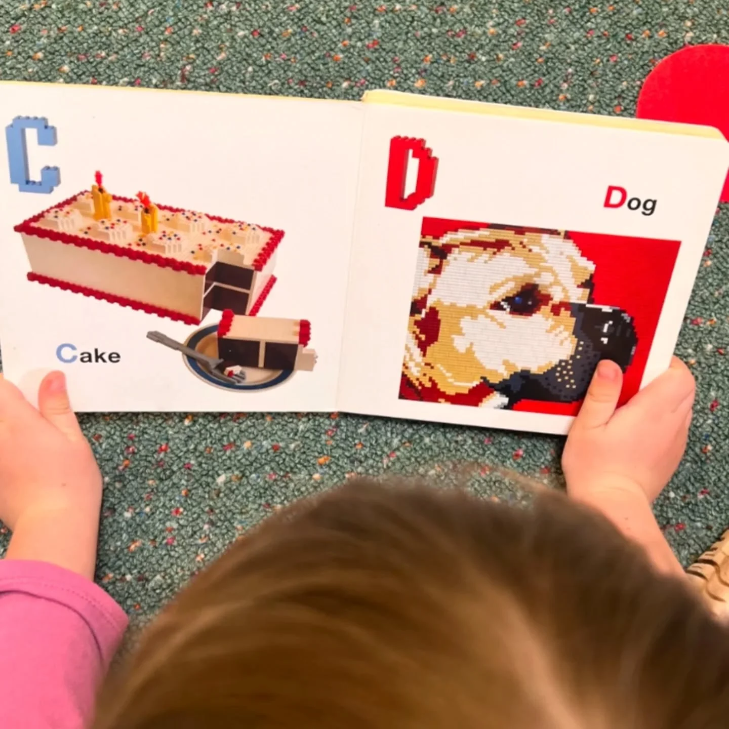 EARLY LITERACY SKILLS such as:
🗣️Oral language (listening and speaking), 
👂Phonological Awareness (hearing sounds in words),
📖Print Awareness (understanding how print works), 
🔤Letter Knowledge (recognizing letters and their names).

These founda