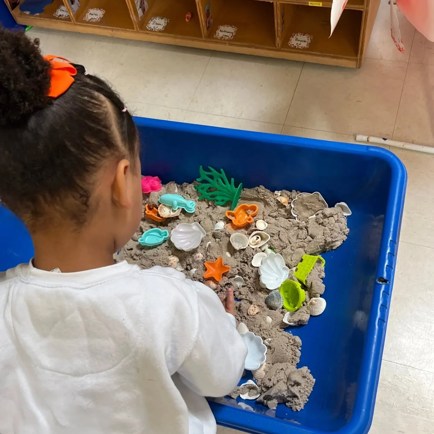 Ocean month is always a favorite in Room B! We learned about so many animals and plants using our many senses; from tasting seaweed, listening to giant seashells, playing in water and watching our new class fish, &ldquo;Uncle Matt&rdquo;. We hope eve