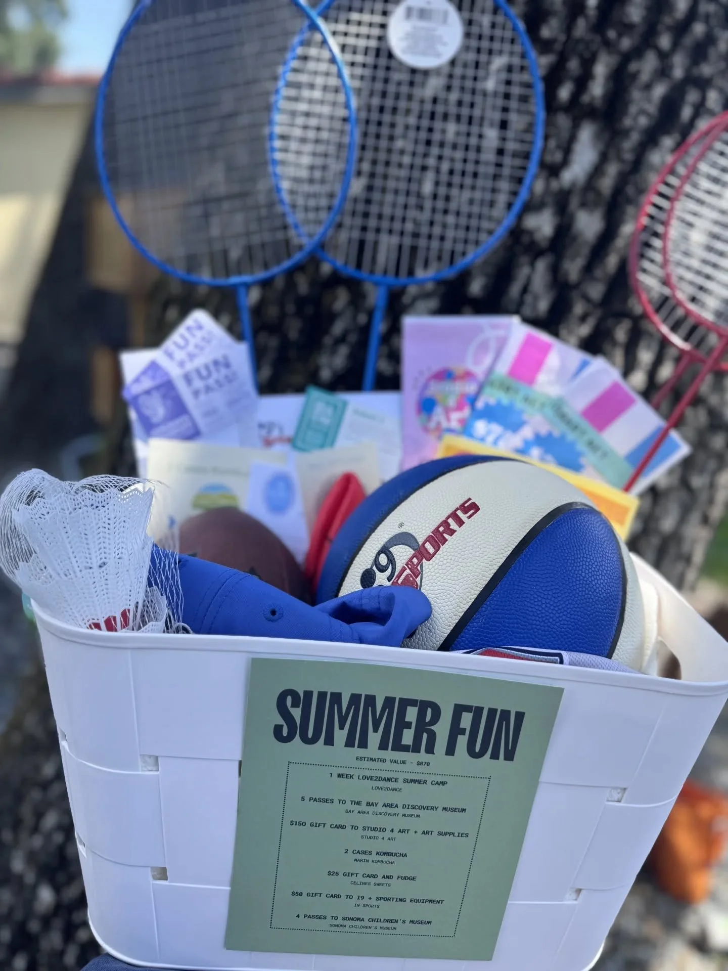 RAFFLE BASKET SPOTLIGHT: SUMMER FUN

This basket is basically summer vacation wrapped into one amazing prize! Our &ldquo;Summer Fun&rdquo; basket included:�
💃 One week of Love2Dance Summer Camp @love2dancenovato
�🔬 5 passes to the Bay Area Discover