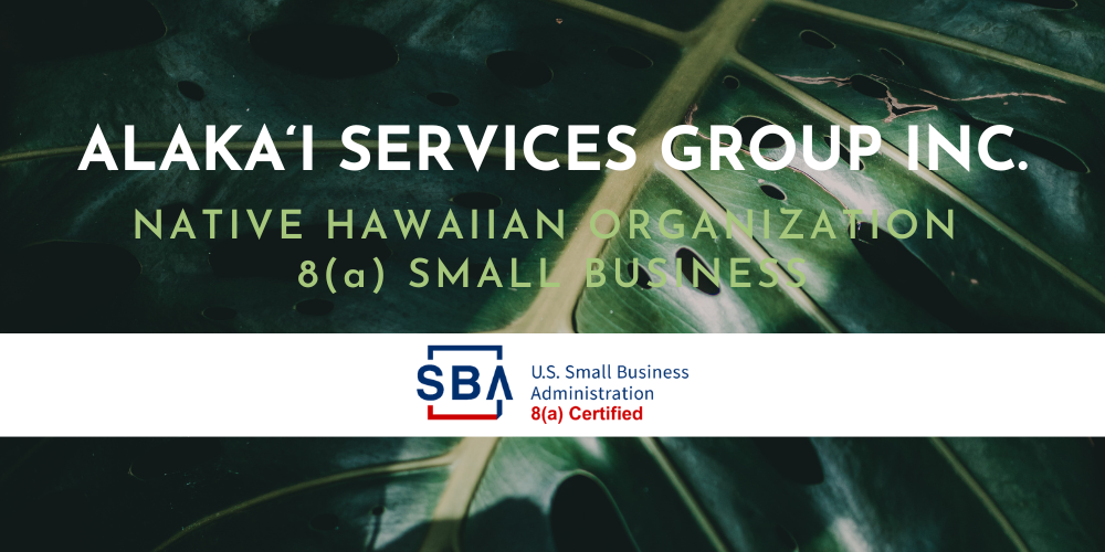 Alaka‘i Services Group Inc.