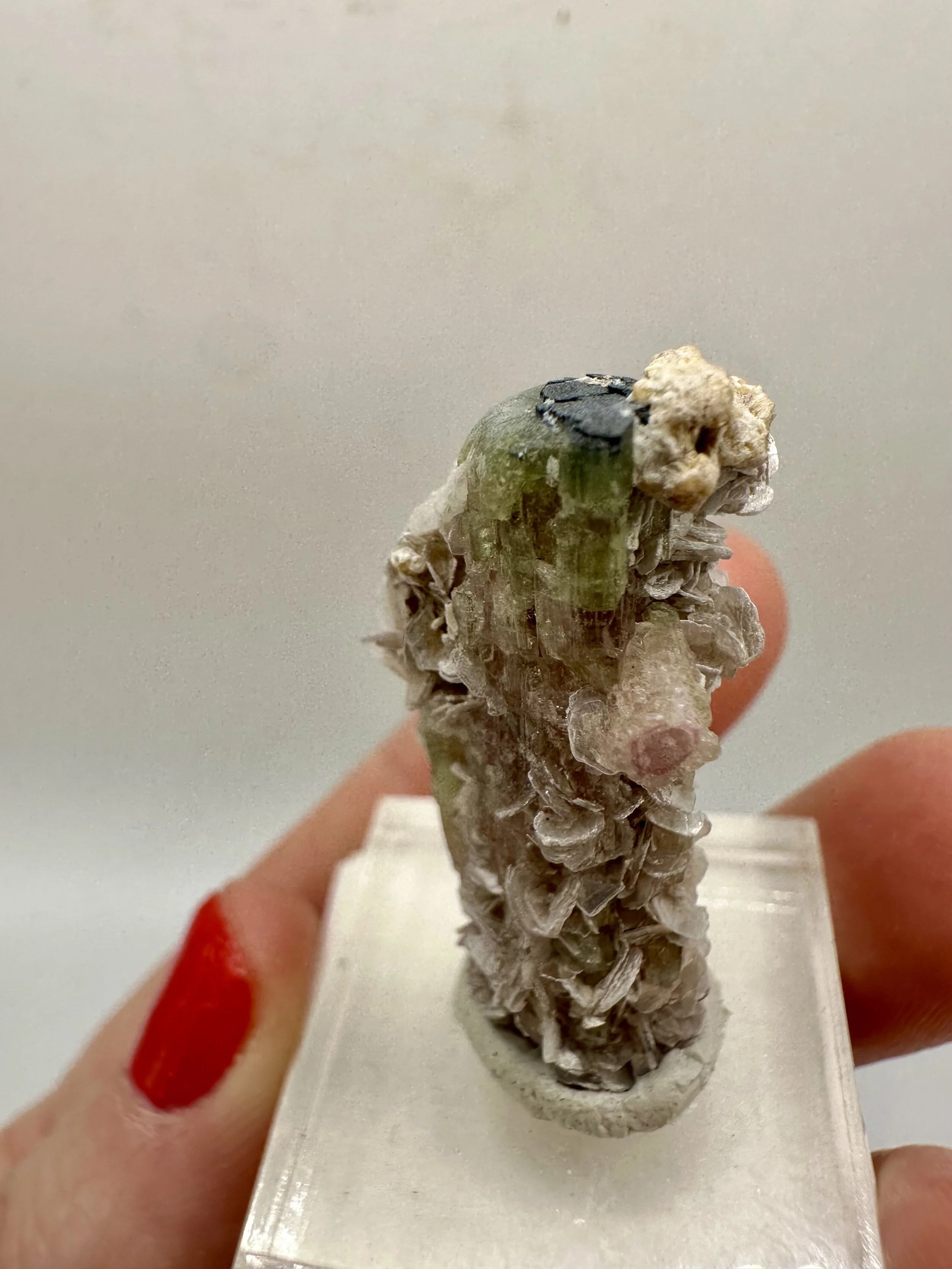 Photo Apr 04 2026, 2 53 06 PM.jpg