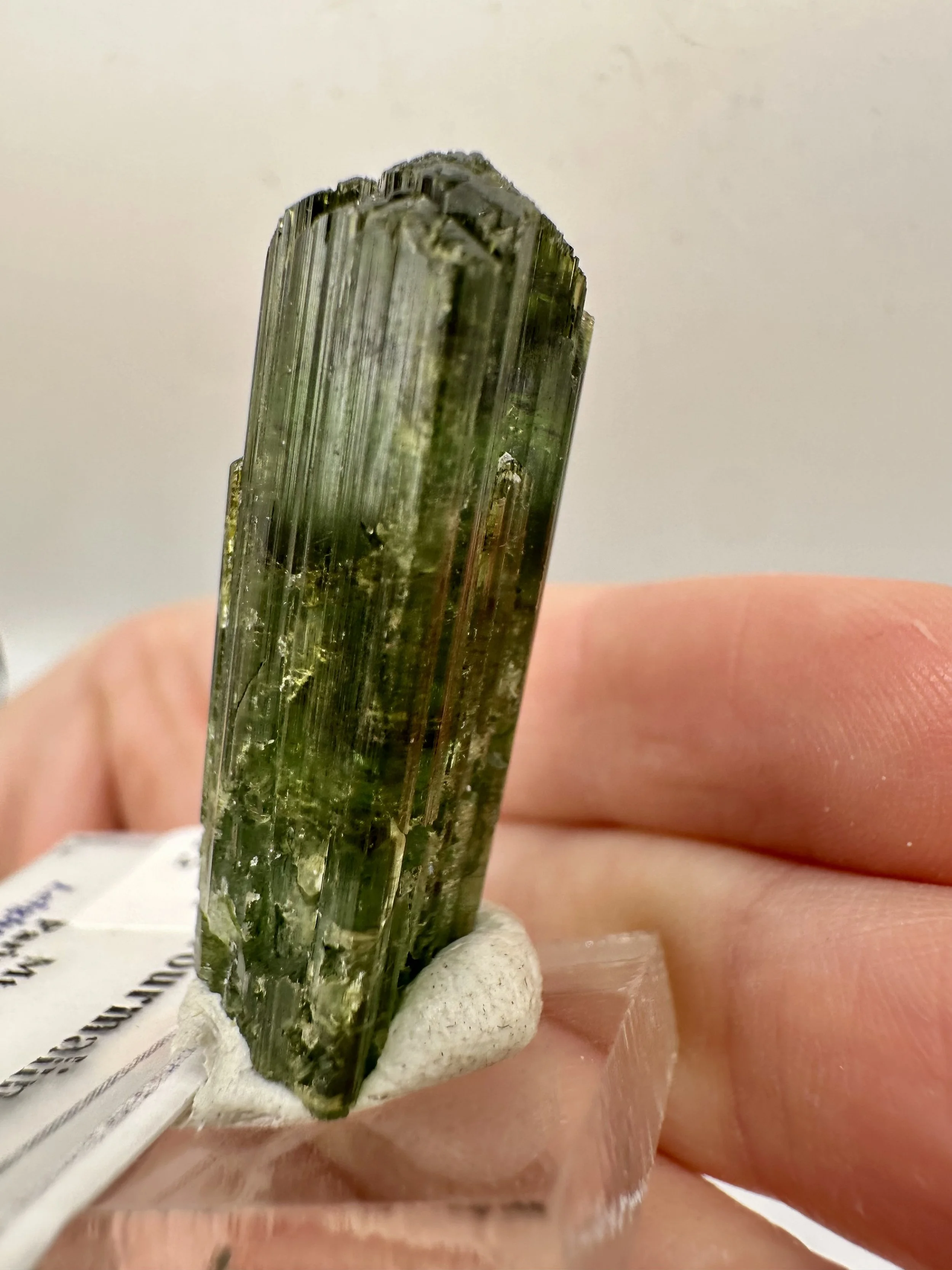 Photo Apr 04 2026, 2 47 38 PM.jpg