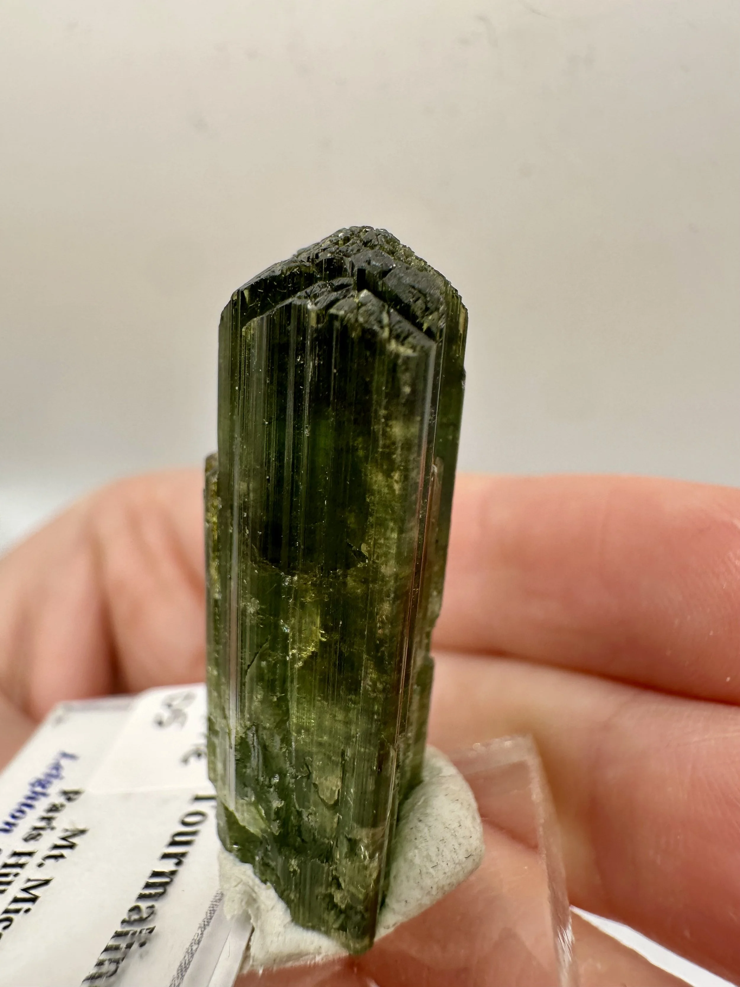 Photo Apr 04 2026, 2 47 40 PM.jpg