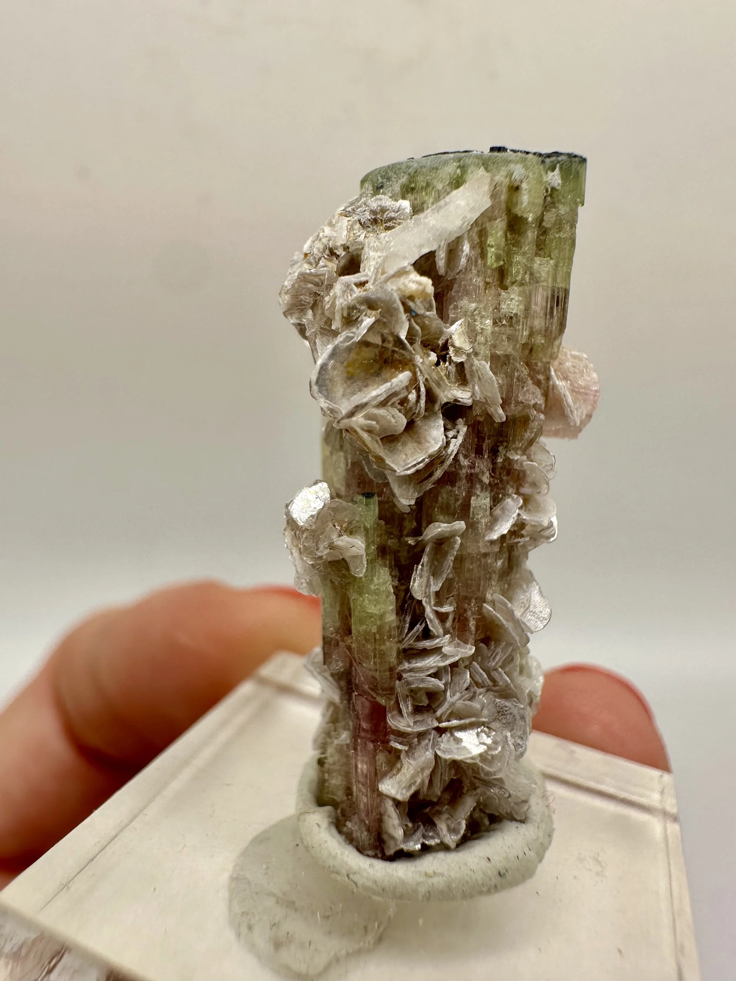 Photo Apr 04 2026, 2 52 48 PM.jpg