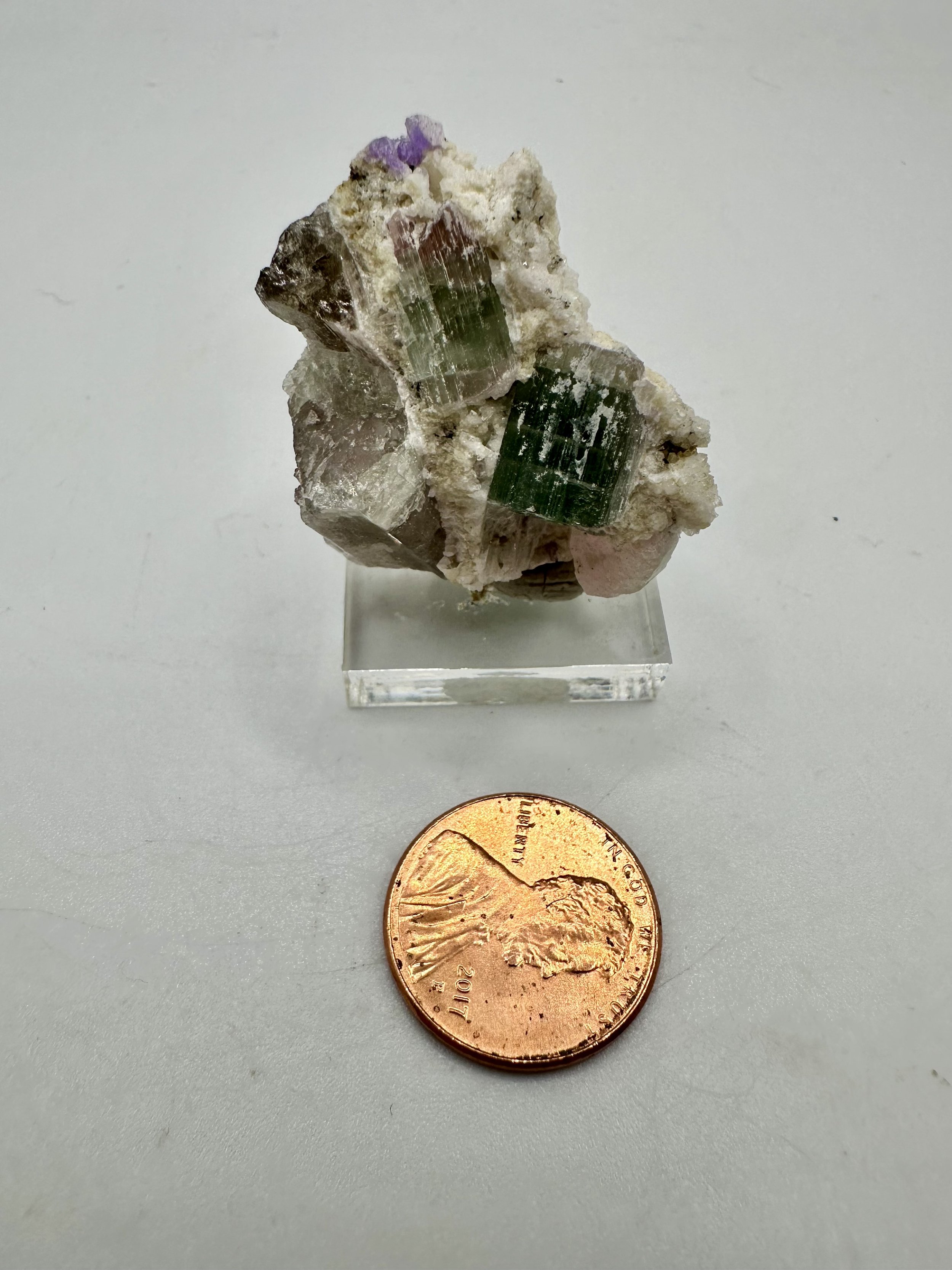 Photo Apr 04 2026, 2 53 56 PM.jpg