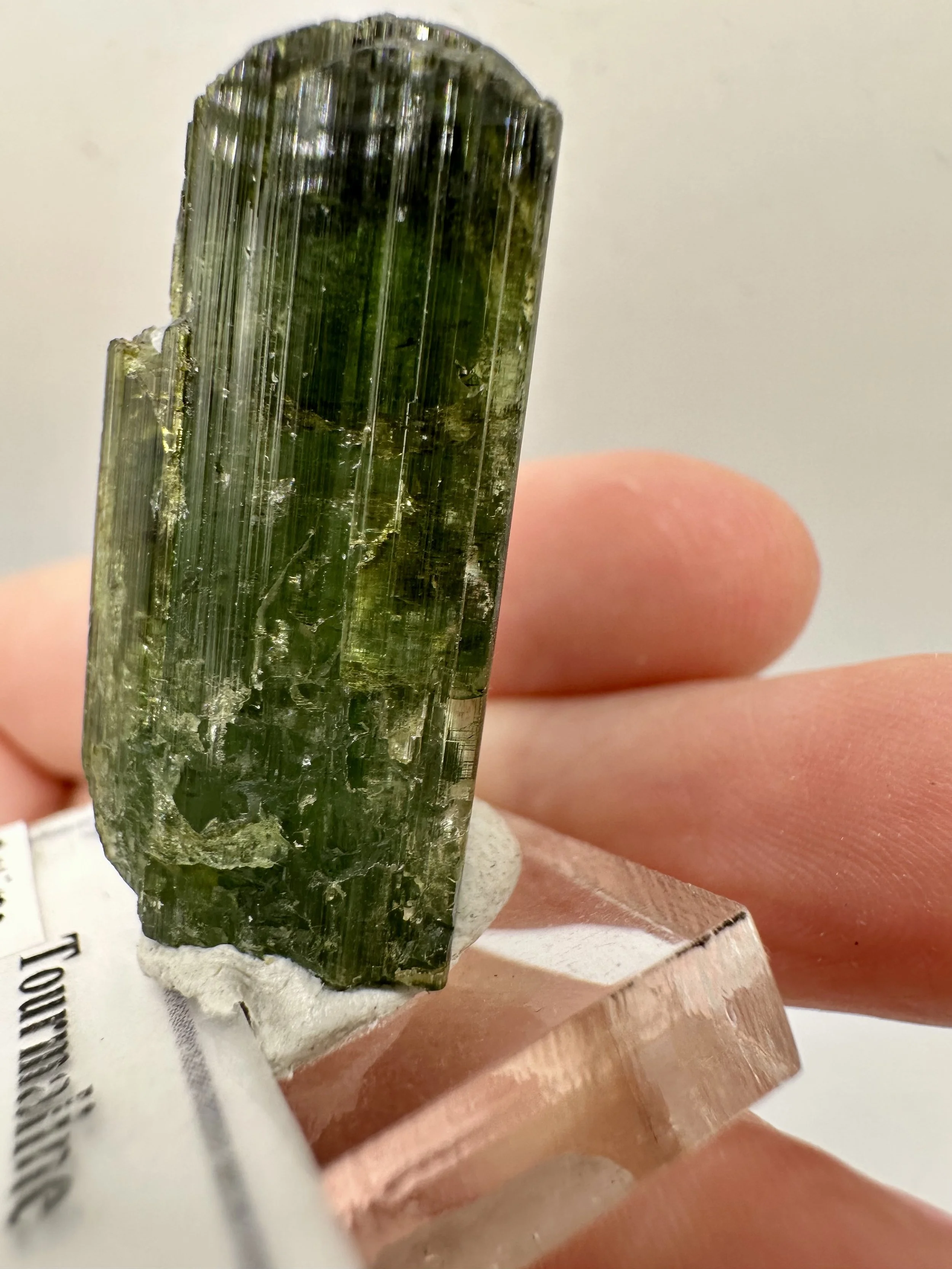 Photo Apr 04 2026, 2 47 36 PM.jpg