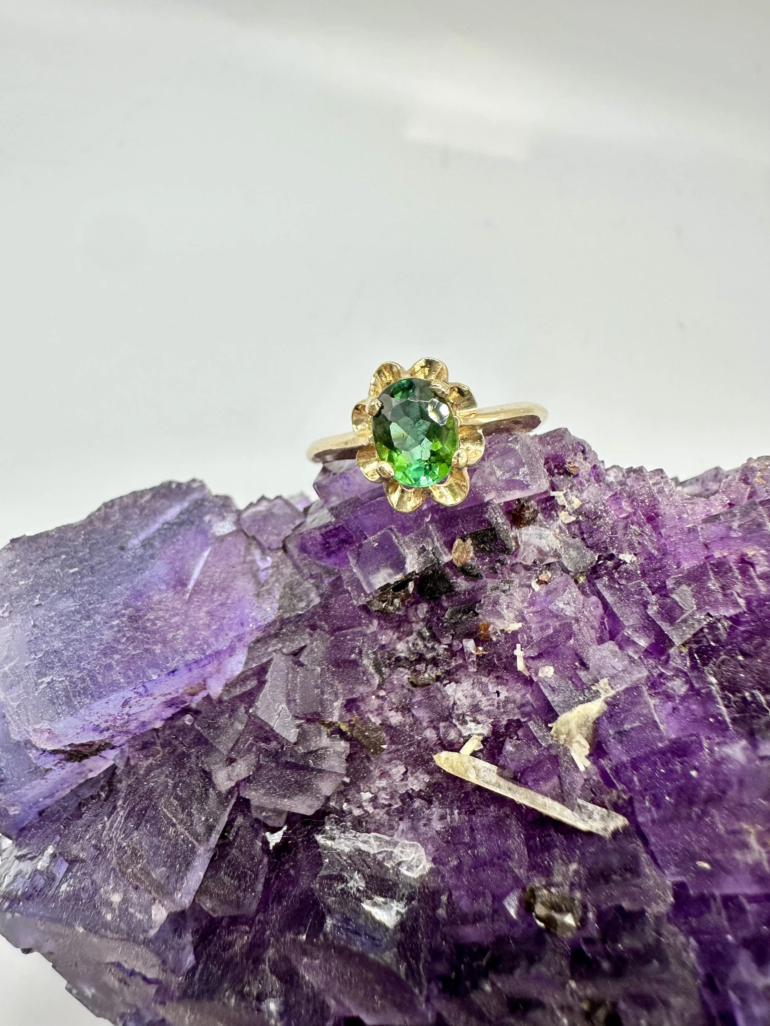 Photo Jan 10 2026, 3 32 00 PM.jpg