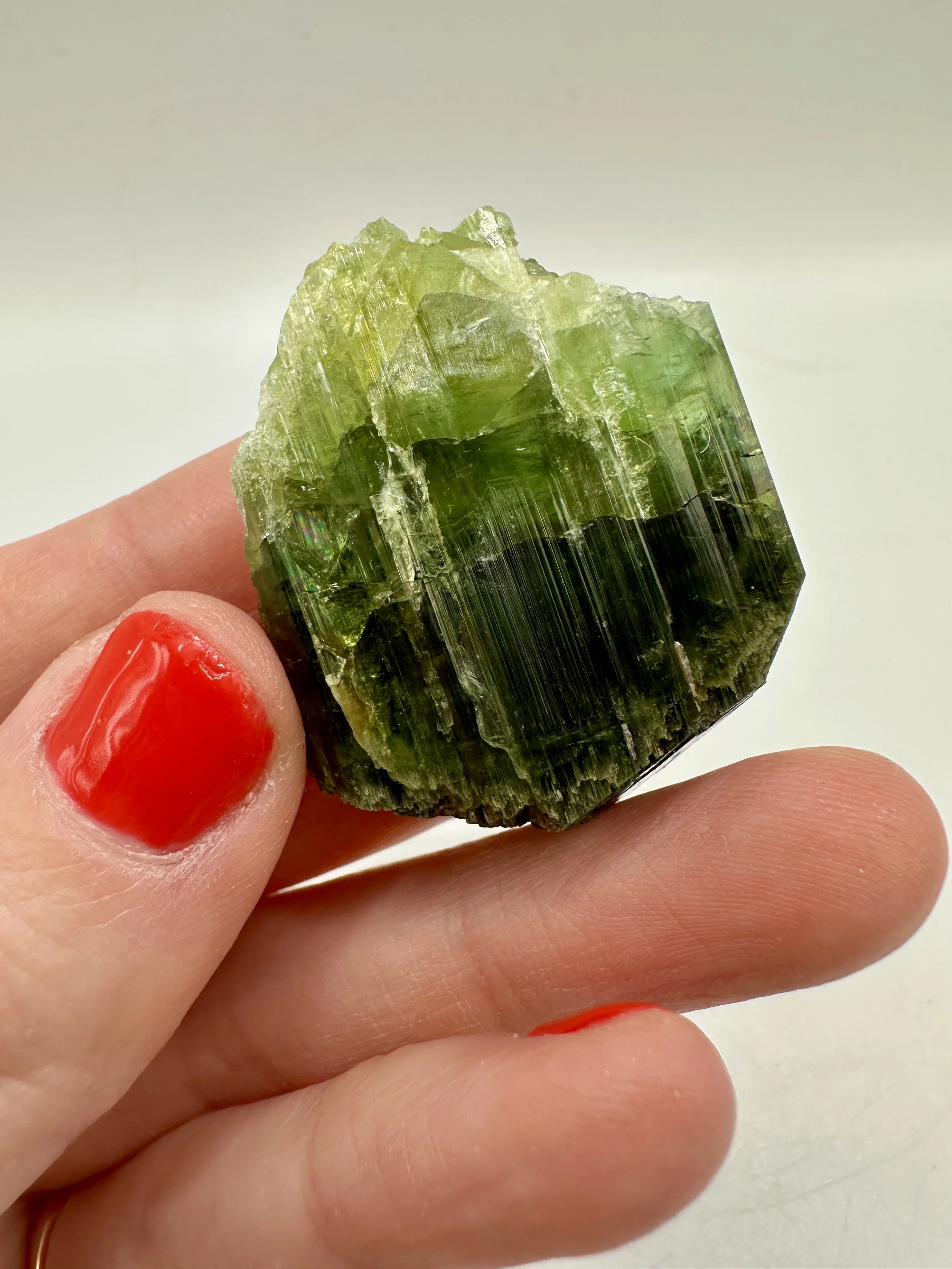 Photo Apr 04 2026, 2 37 05 PM.jpg