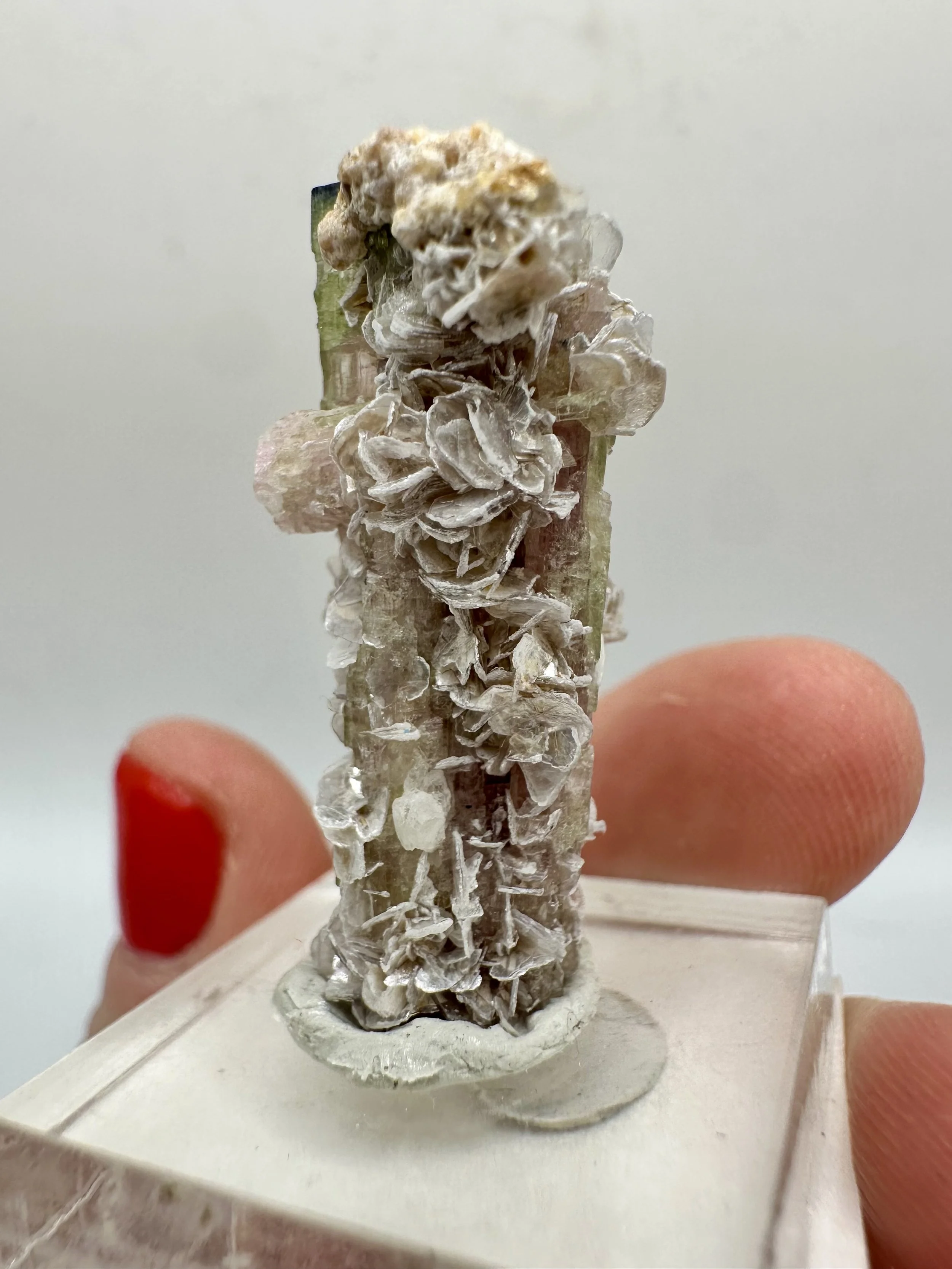 Photo Apr 04 2026, 2 52 35 PM.jpg