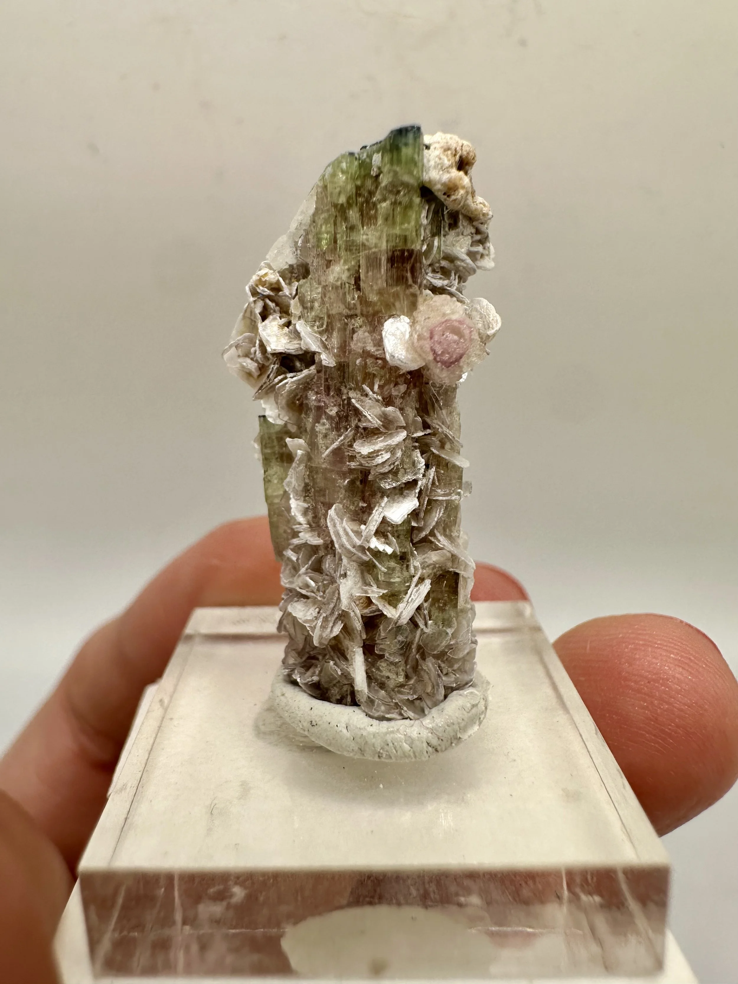 Photo Apr 04 2026, 2 52 27 PM.jpg