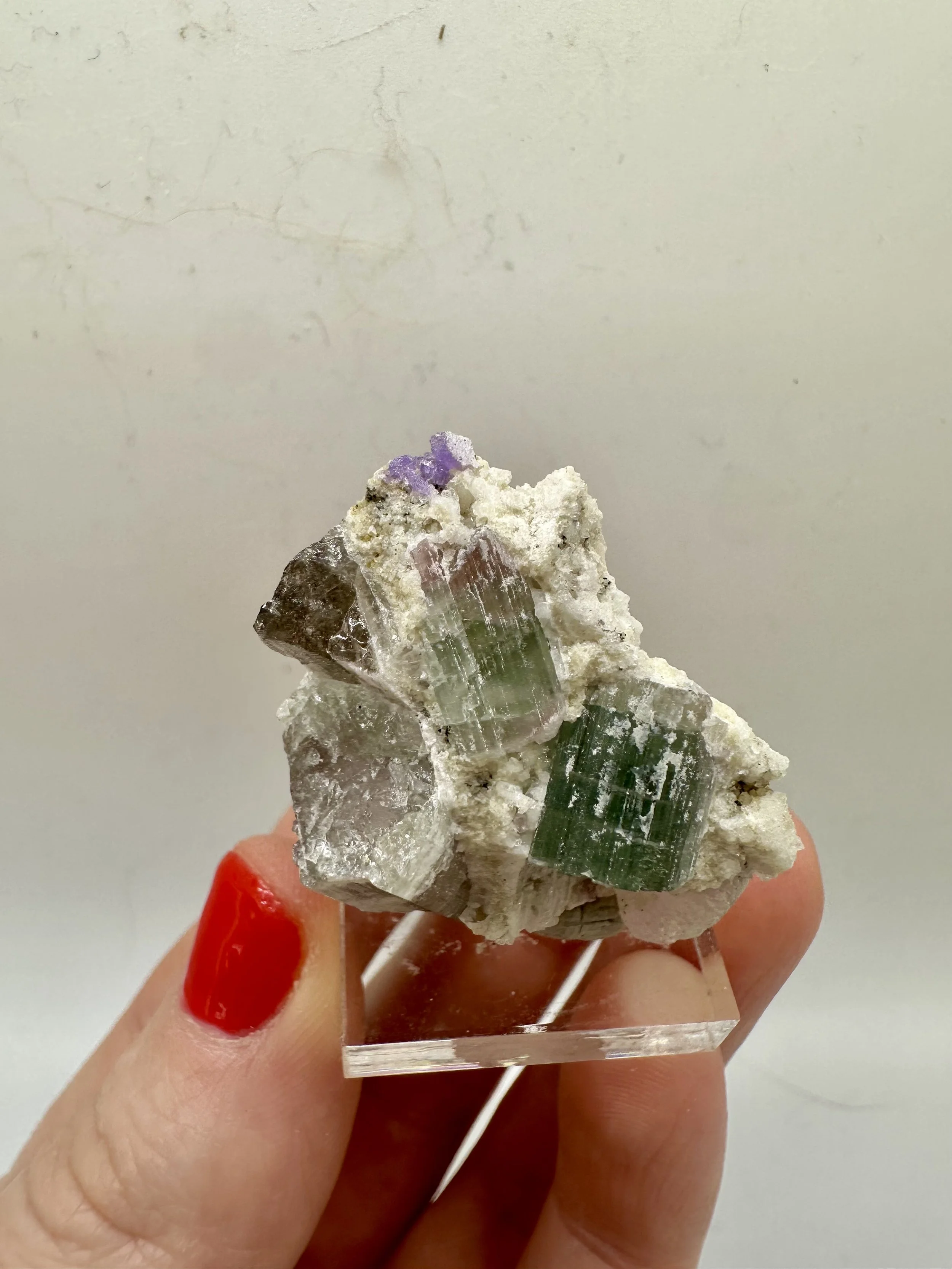 Photo Apr 04 2026, 2 54 21 PM.jpg