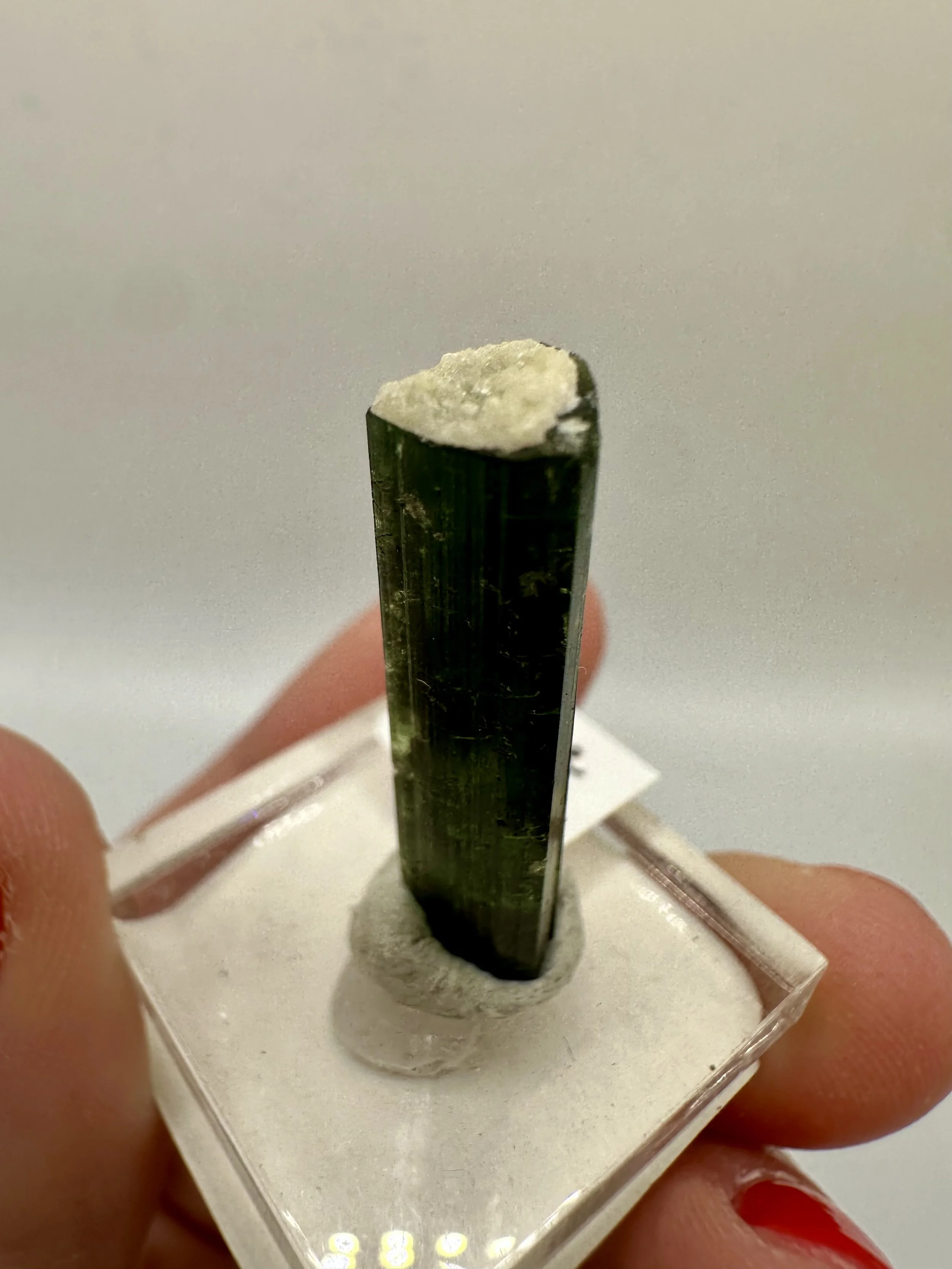 Photo Apr 04 2026, 2 48 34 PM.jpg