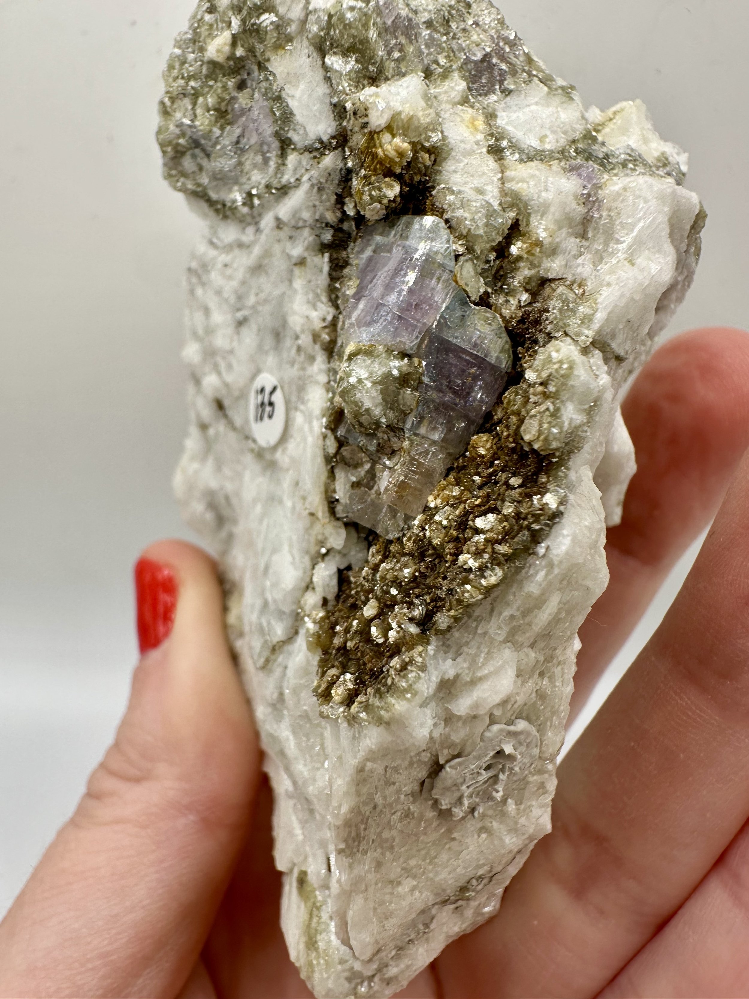 Photo Apr 04 2026, 2 39 45 PM.jpg