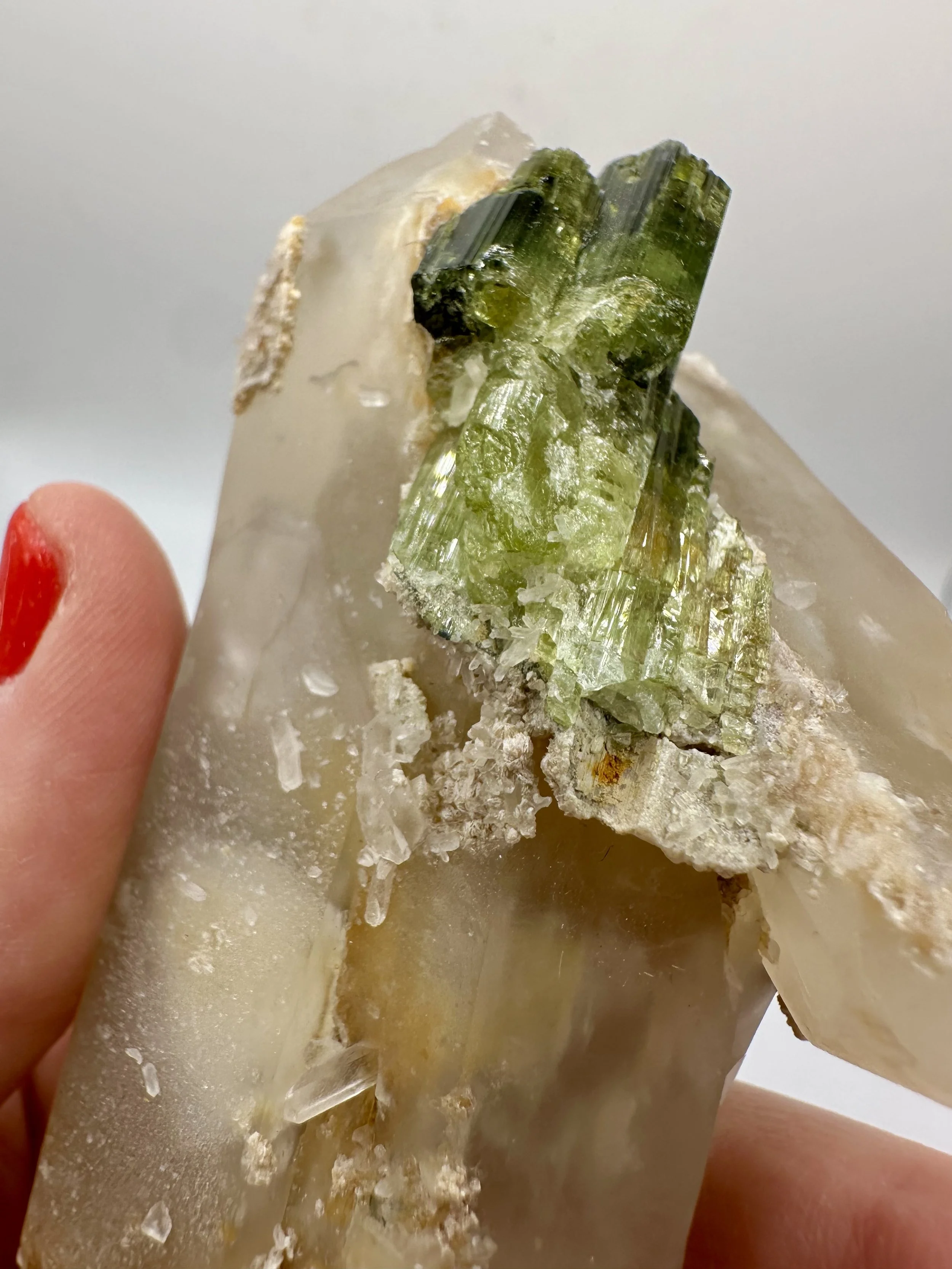 Photo Apr 04 2026, 2 43 26 PM.jpg