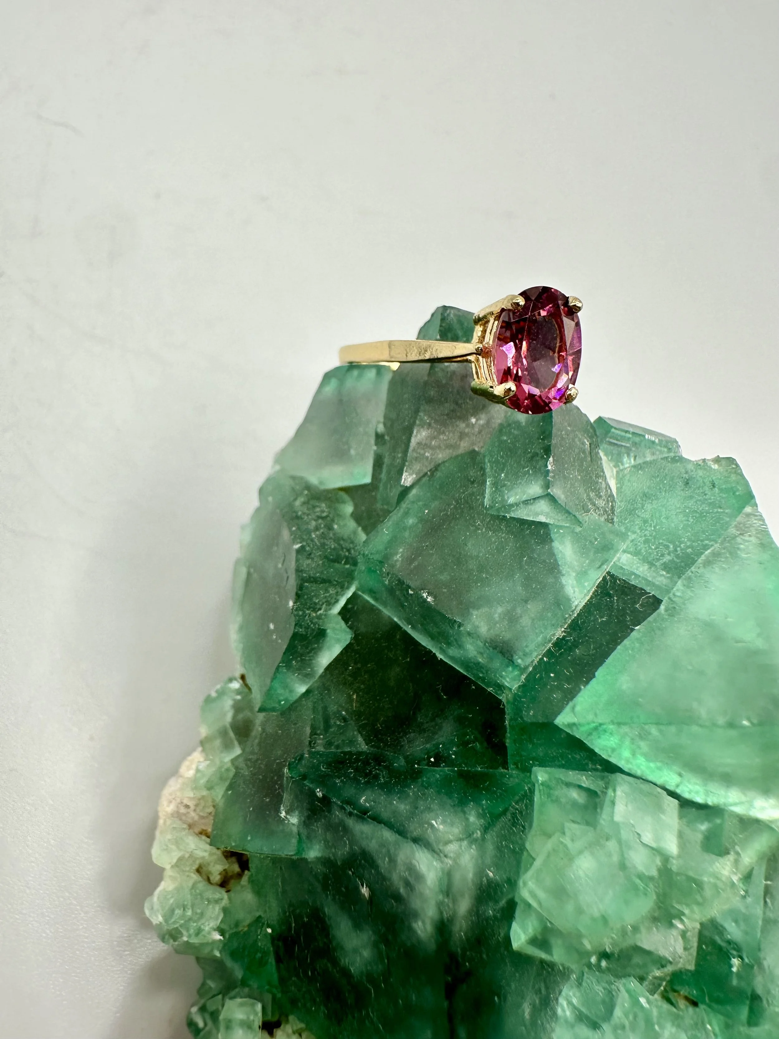 Photo Apr 04 2026, 12 02 26 PM.jpg