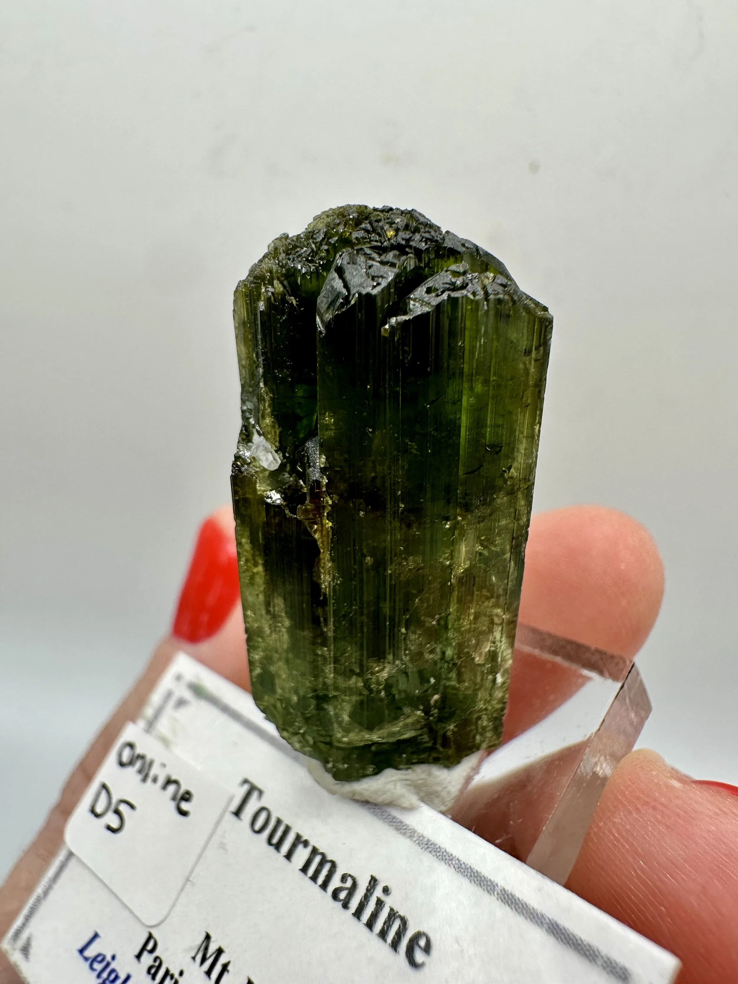 Photo Apr 04 2026, 2 47 25 PM.jpg