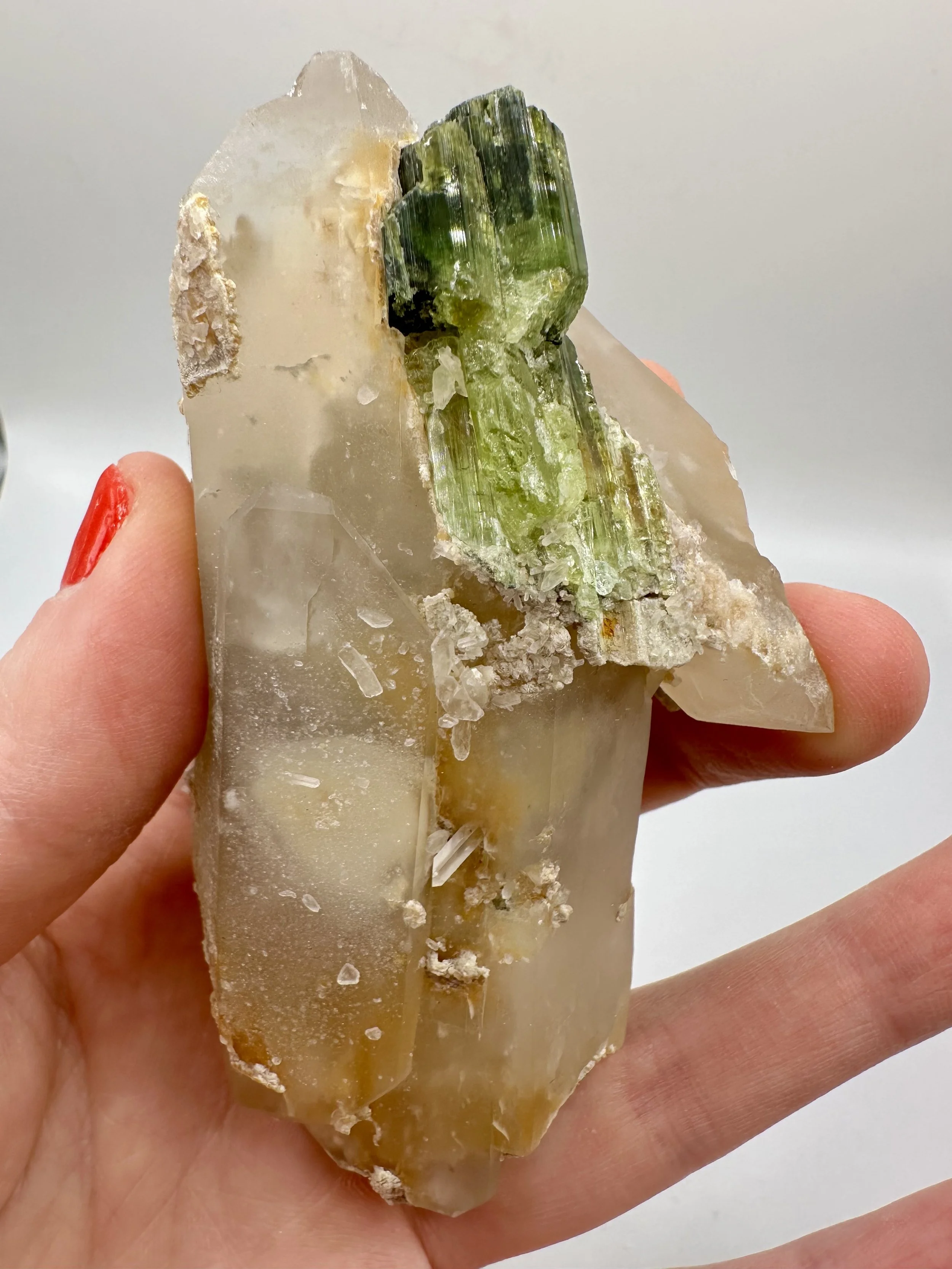 Photo Apr 04 2026, 2 43 20 PM.jpg