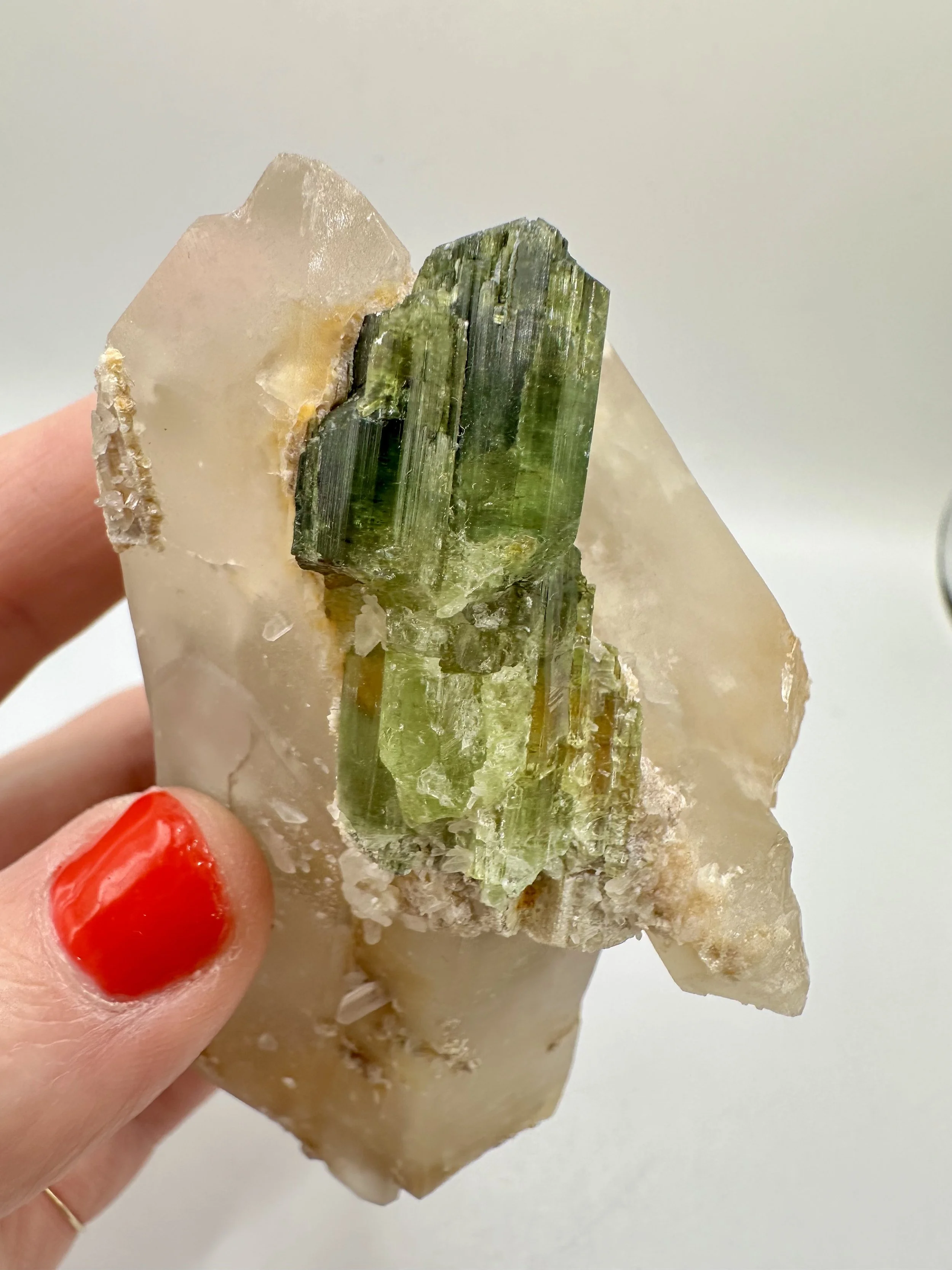 Photo Apr 04 2026, 2 42 46 PM.jpg