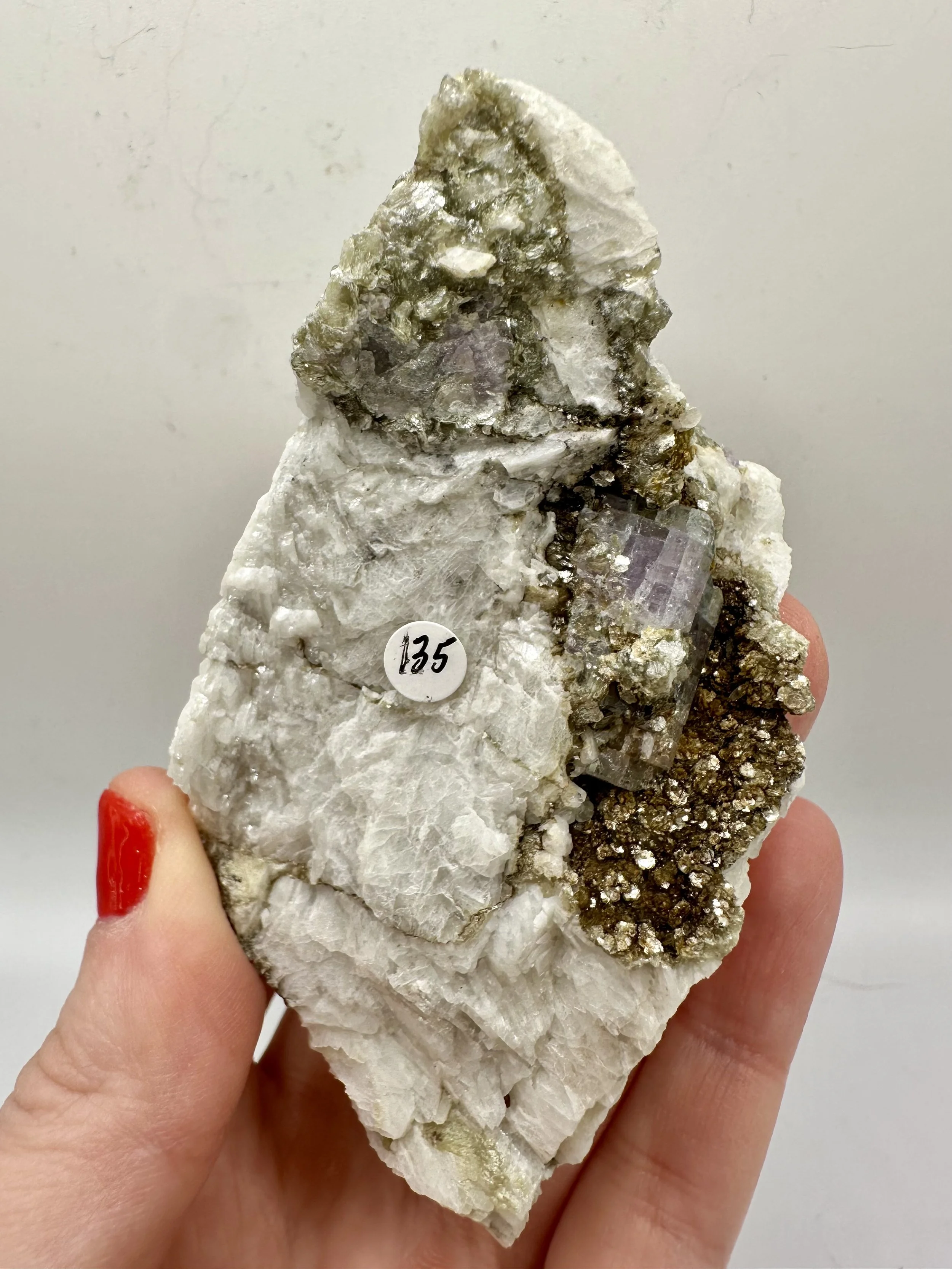 Photo Apr 04 2026, 2 39 42 PM.jpg