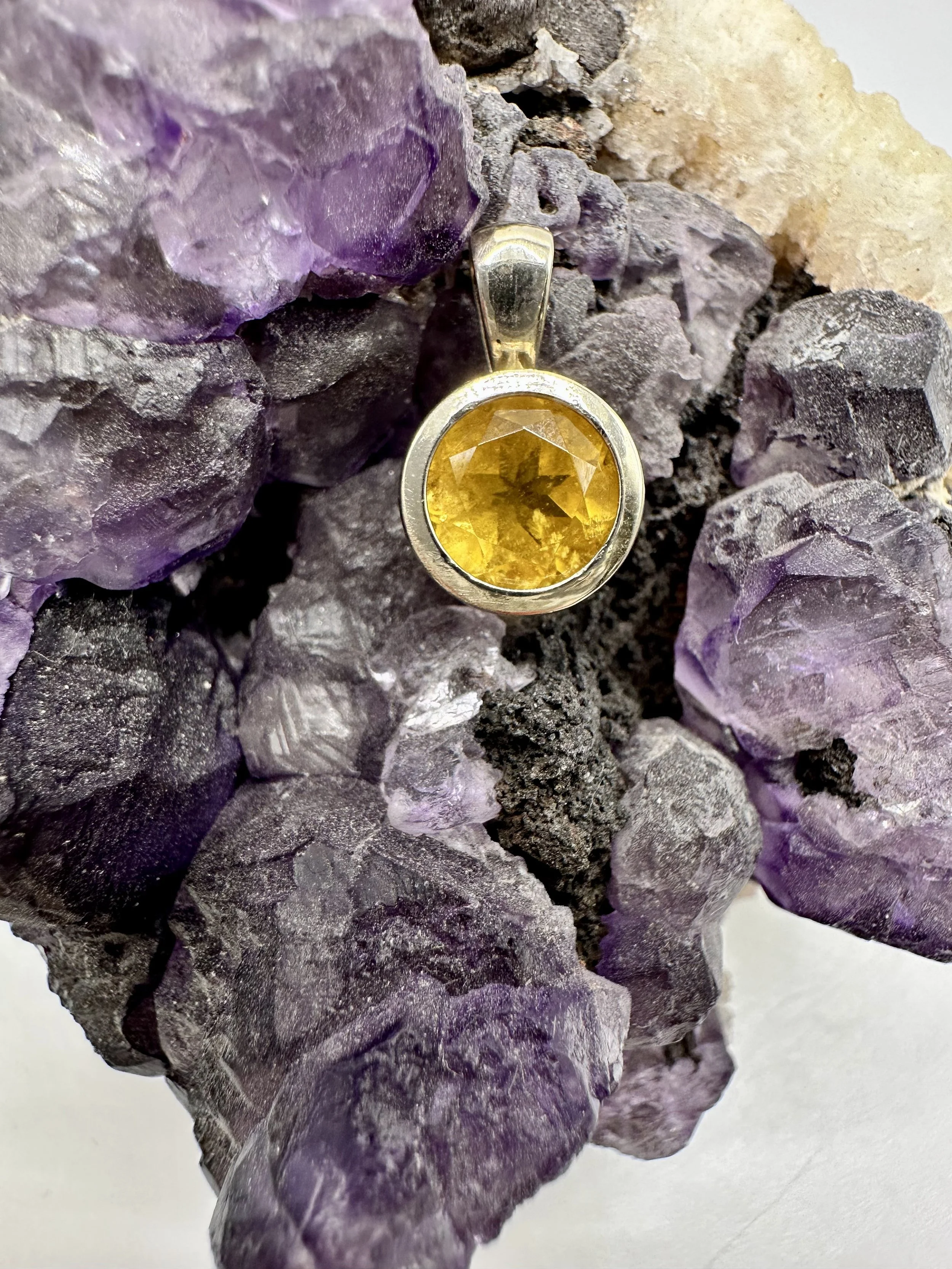 Photo Apr 04 2026, 12 38 05 PM.jpg