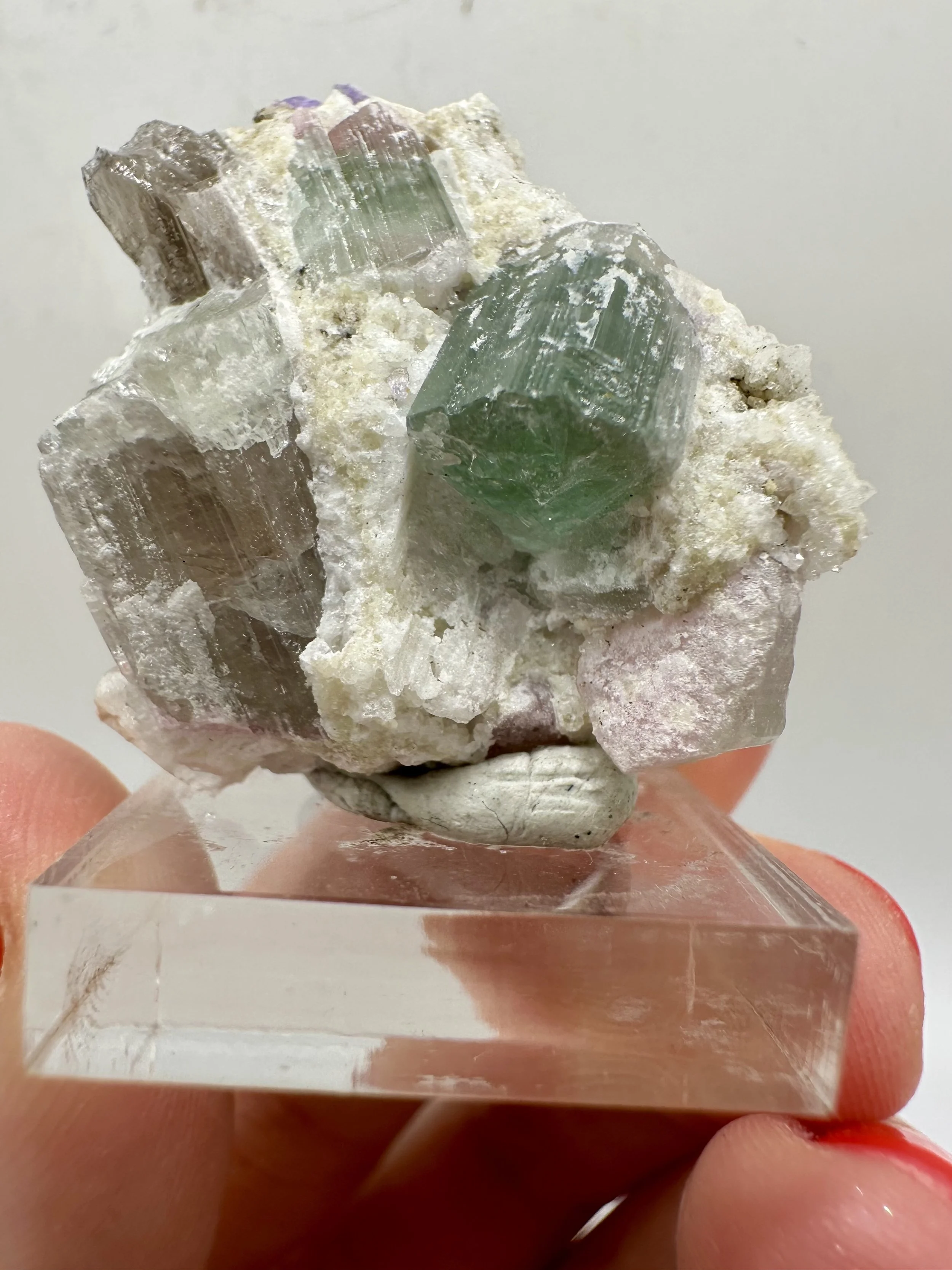 Photo Apr 04 2026, 2 54 30 PM.jpg