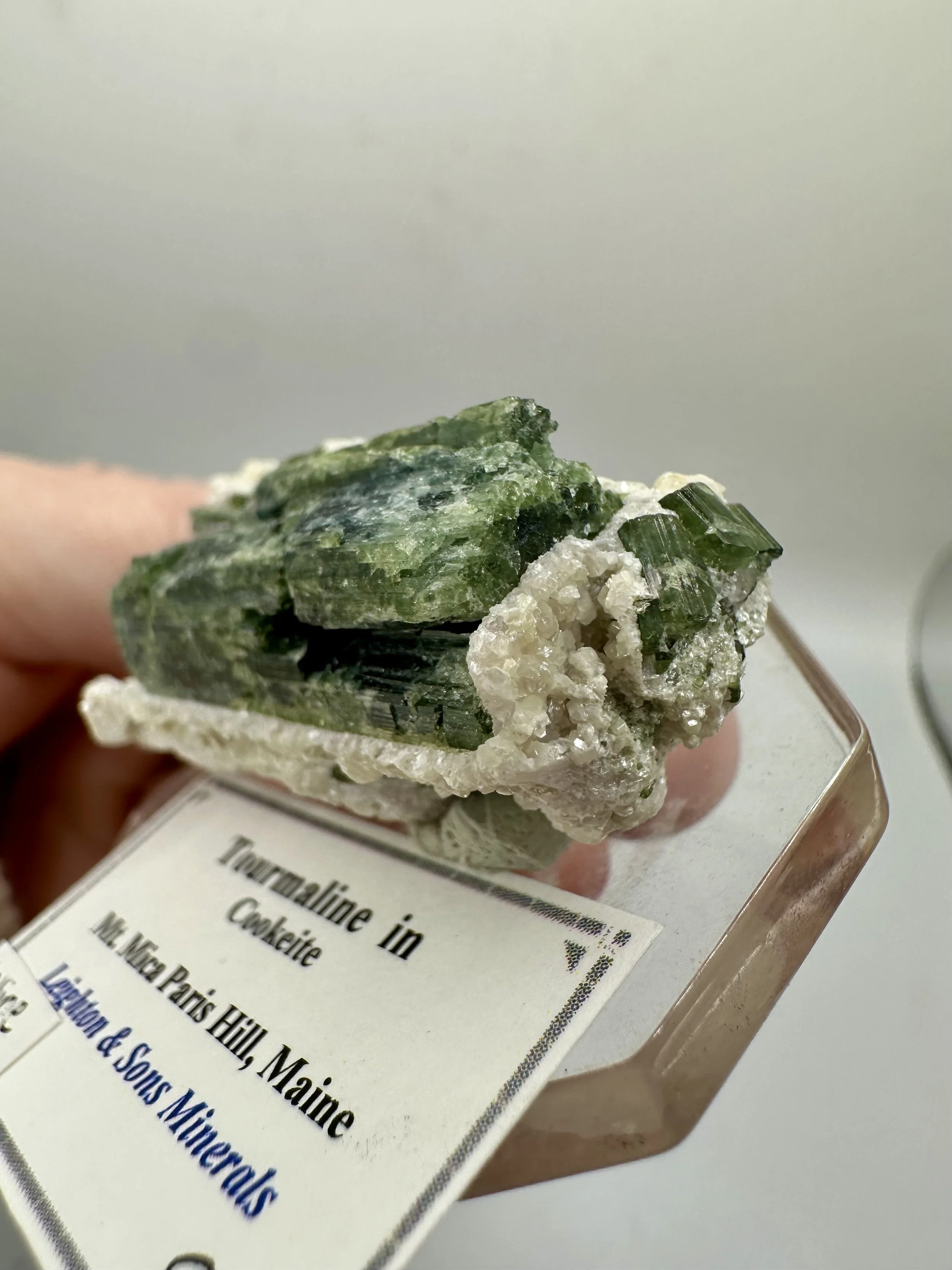 Photo Apr 04 2026, 2 45 53 PM.jpg