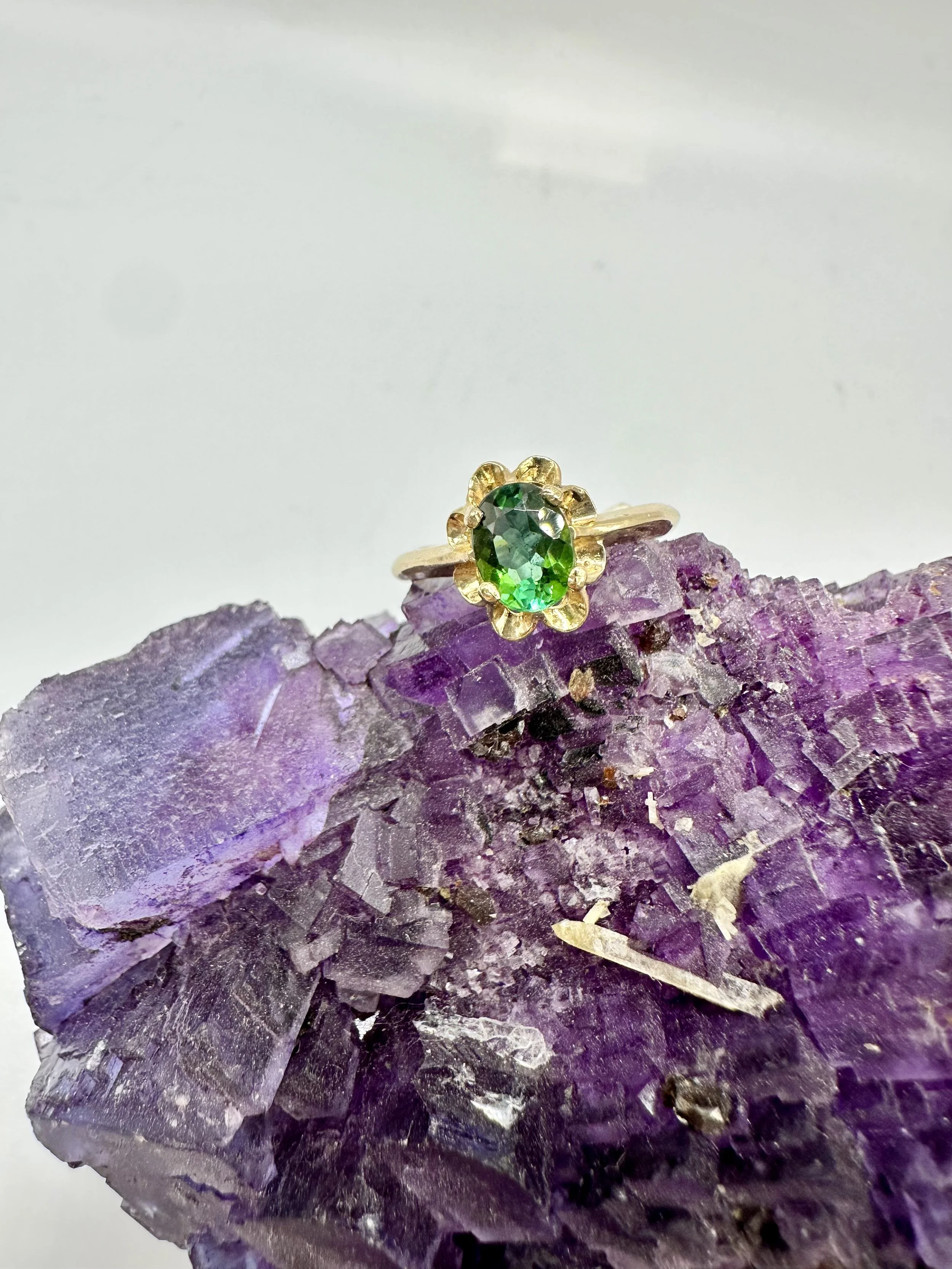 Photo Jan 10 2026, 3 31 50 PM.jpg