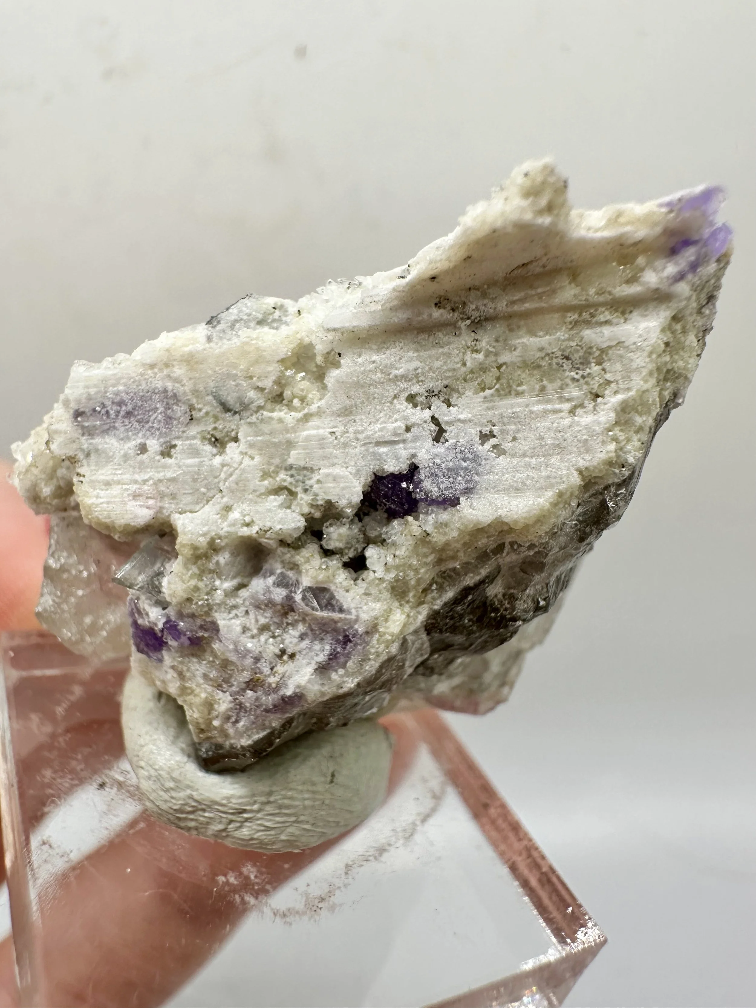 Photo Apr 04 2026, 2 54 47 PM.jpg