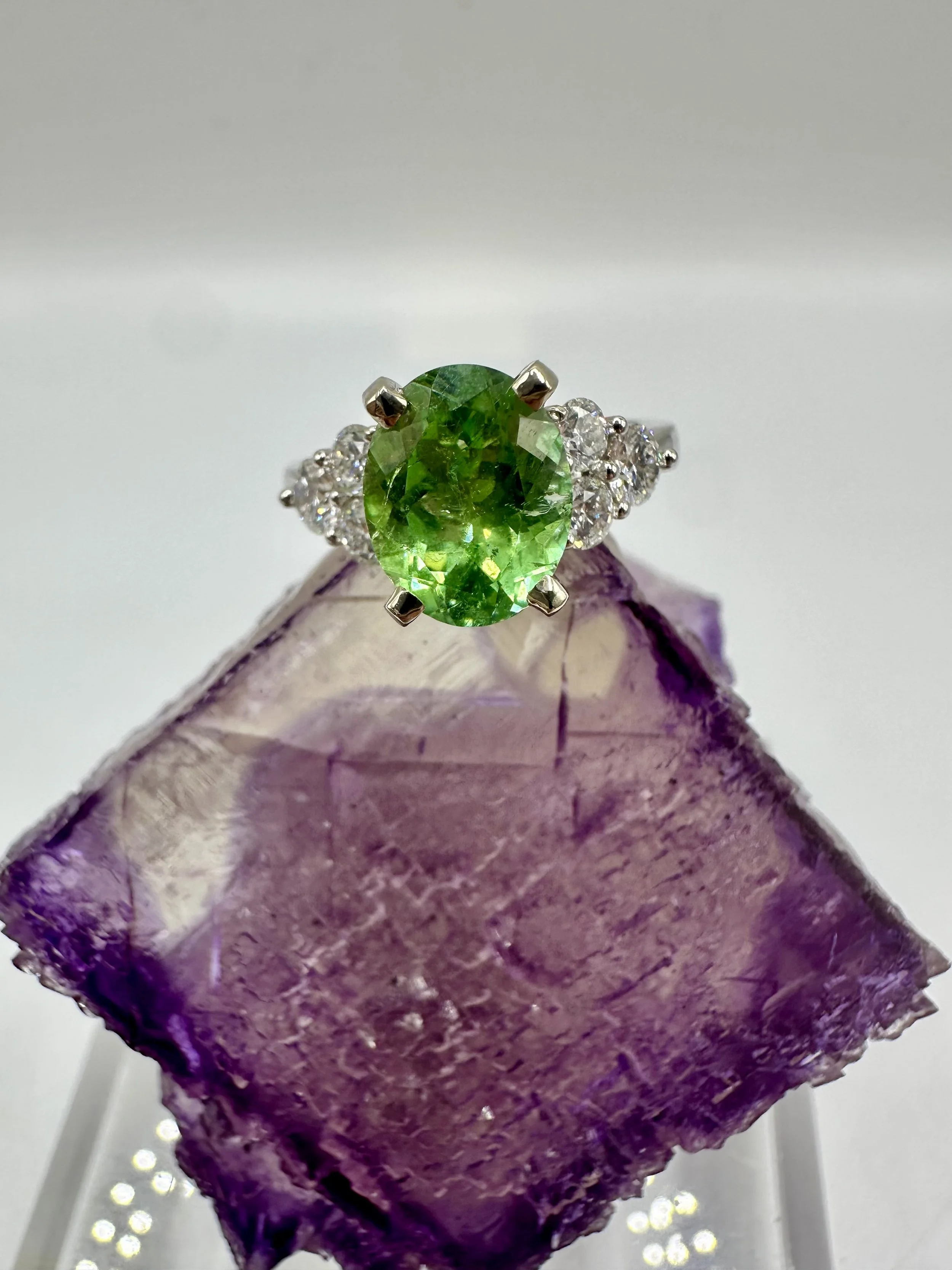 Photo Feb 14 2026, 12 00 38 PM.jpg