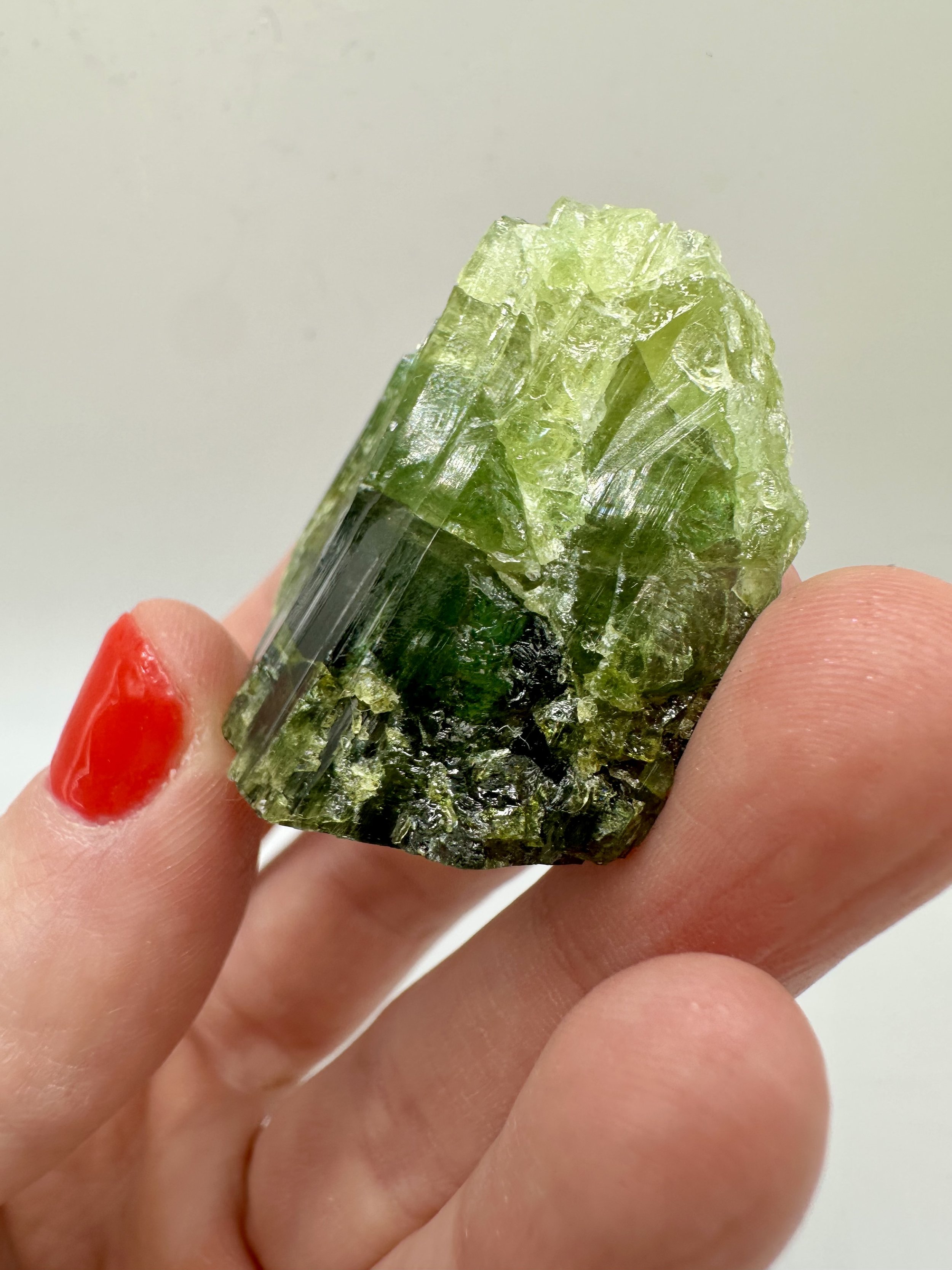 Photo Apr 04 2026, 2 37 19 PM.jpg