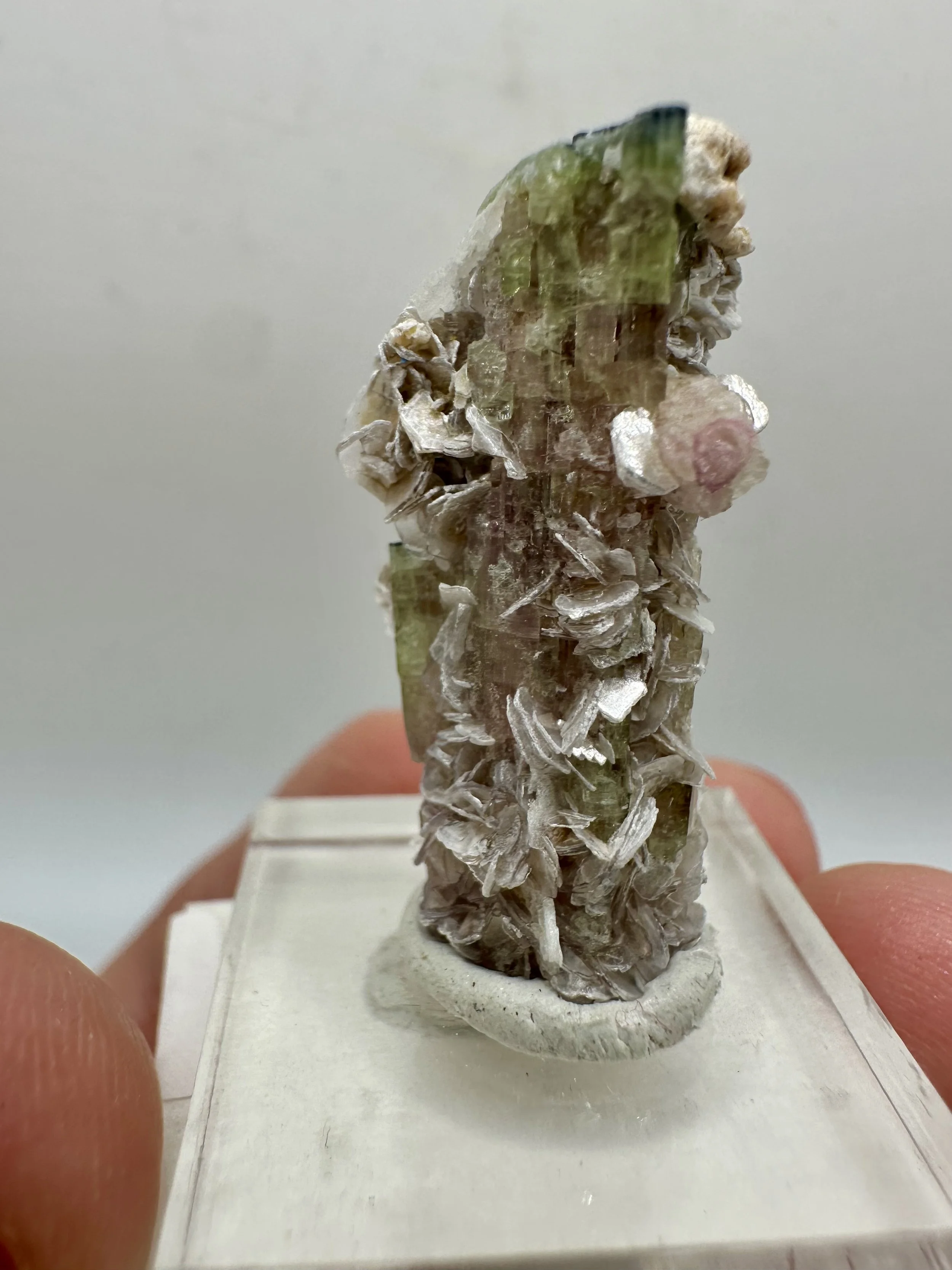 Photo Apr 04 2026, 2 52 45 PM.jpg