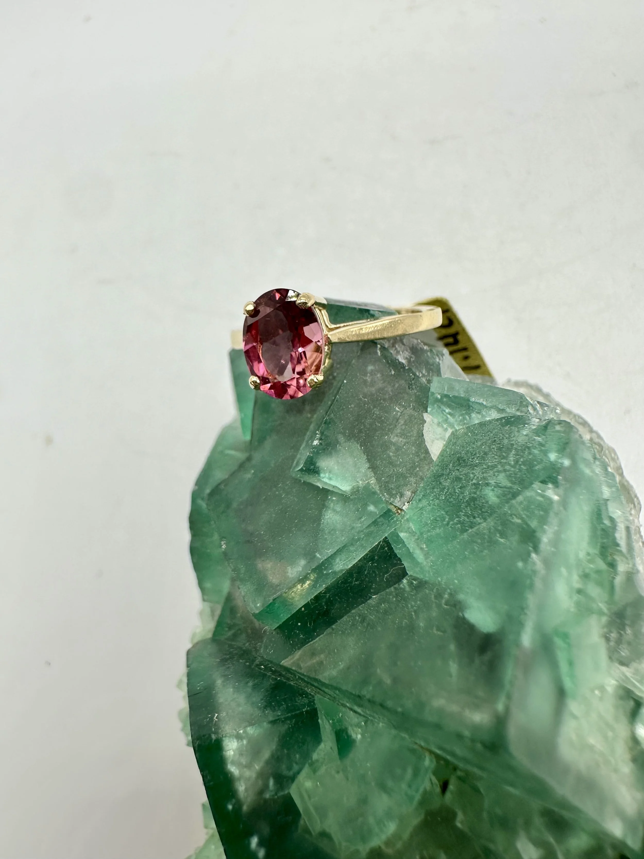 Photo Apr 04 2026, 12 02 28 PM.jpg