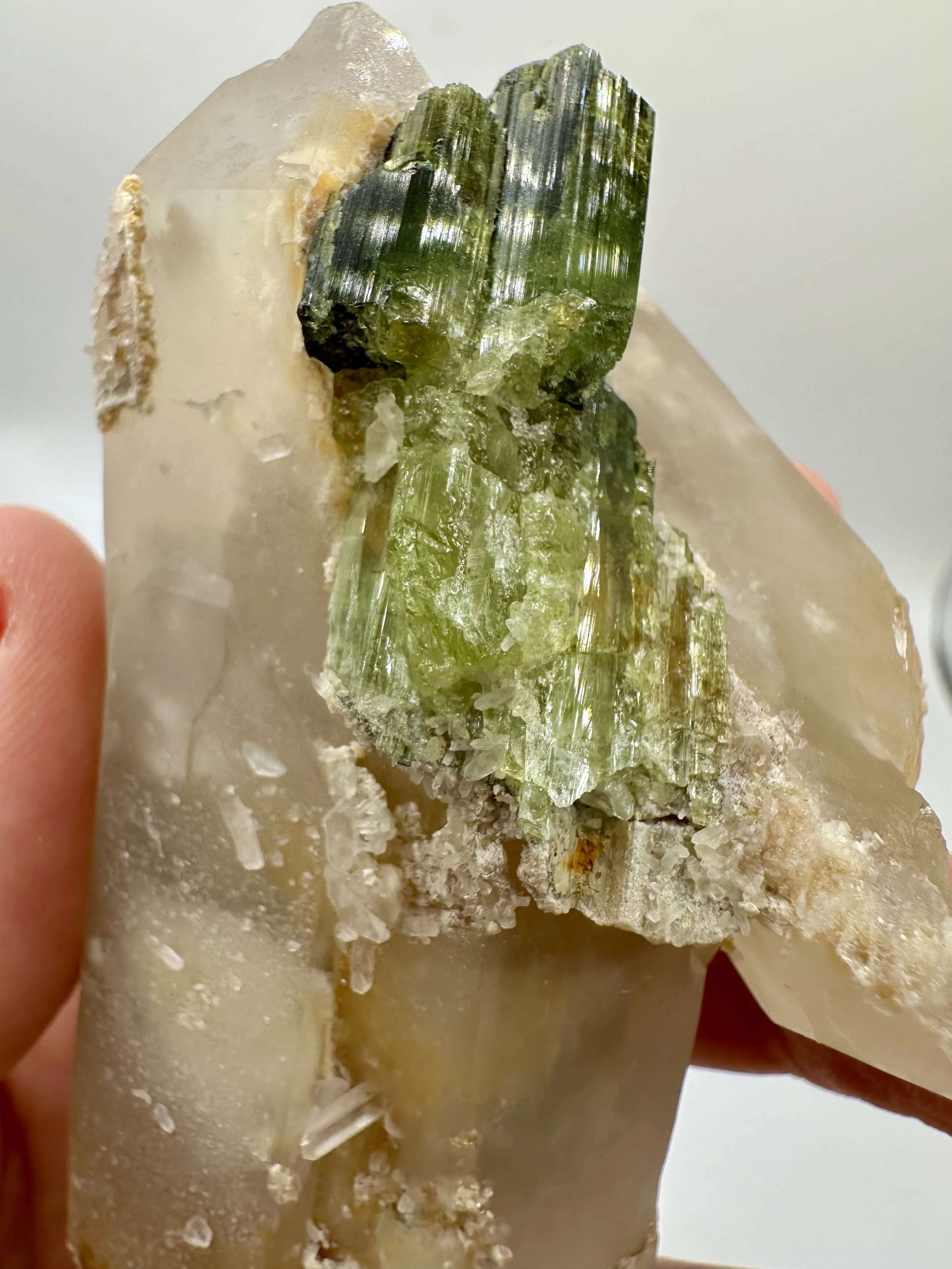 Photo Apr 04 2026, 2 43 25 PM.jpg