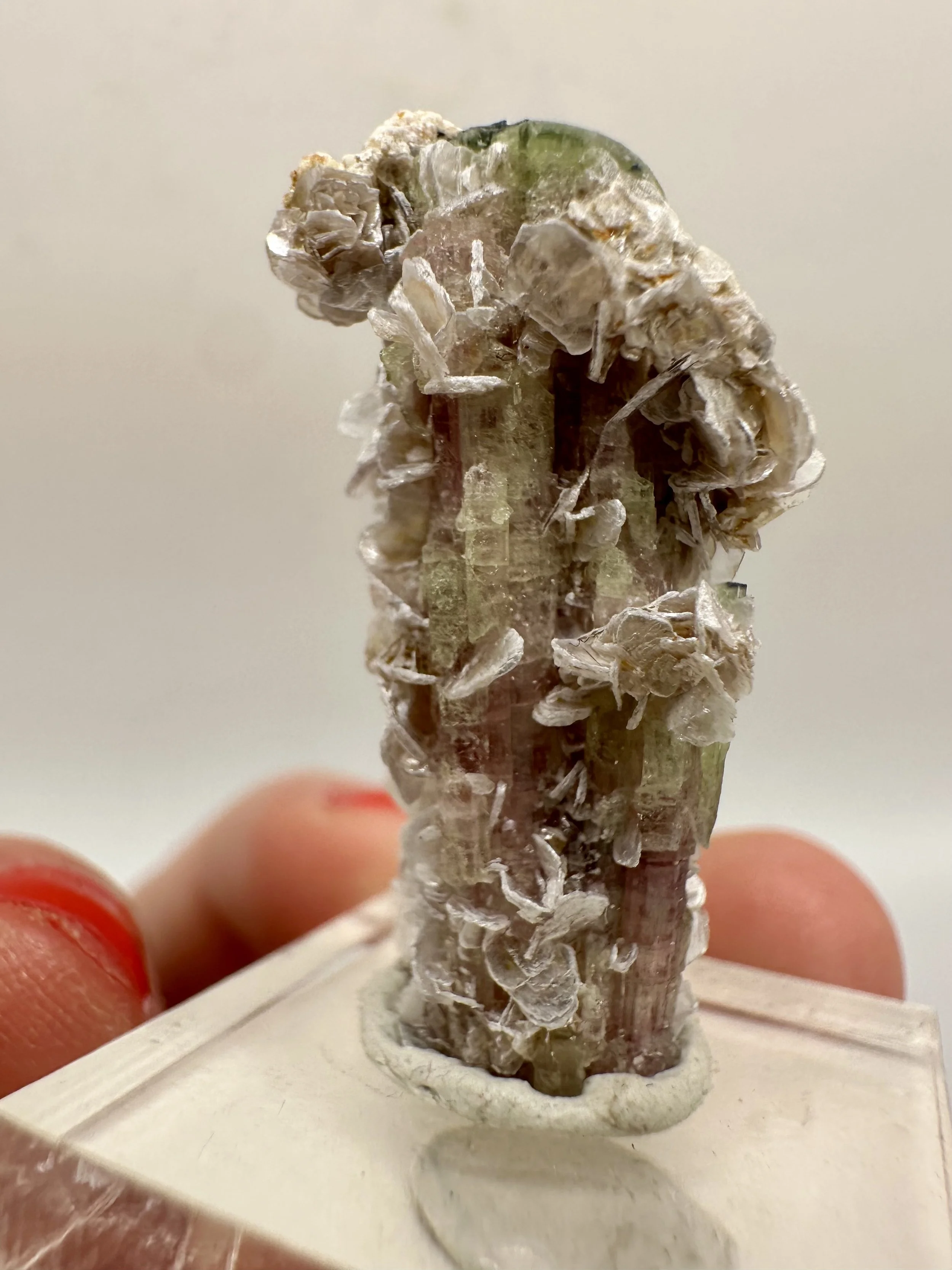 Photo Apr 04 2026, 2 52 56 PM.jpg