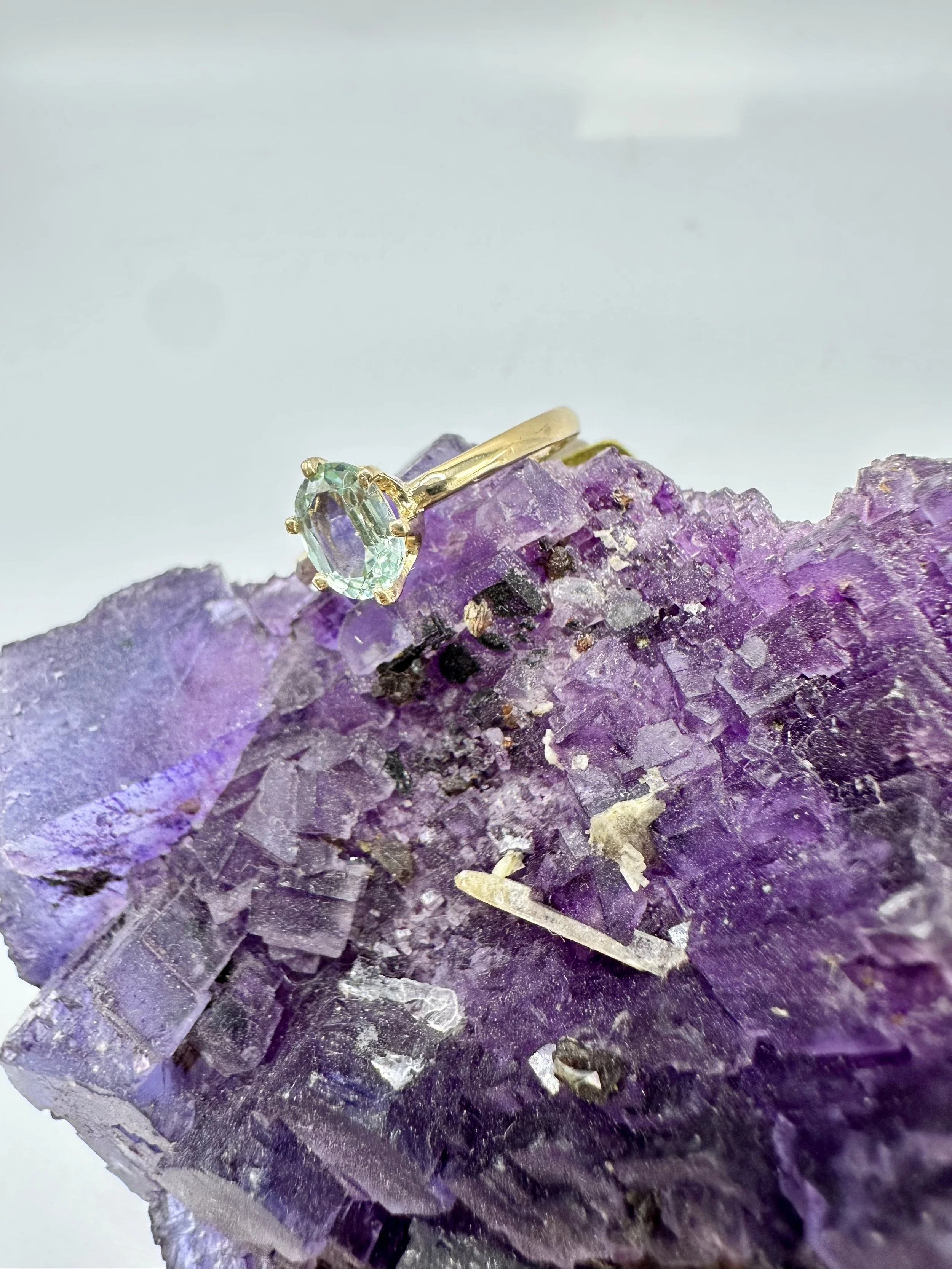 Photo Jan 10 2026, 3 33 42 PM.jpg