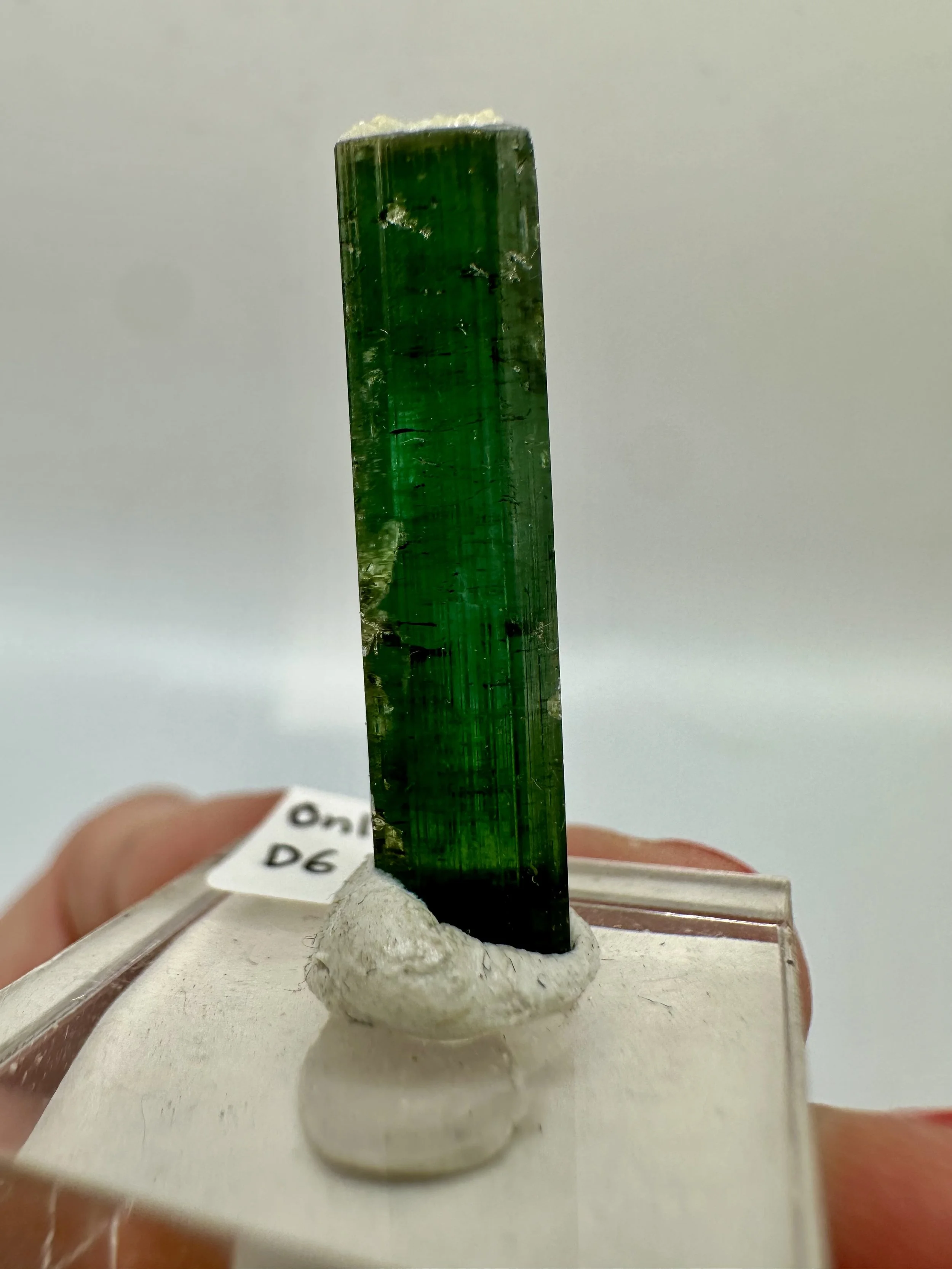 Photo Apr 04 2026, 2 48 25 PM.jpg