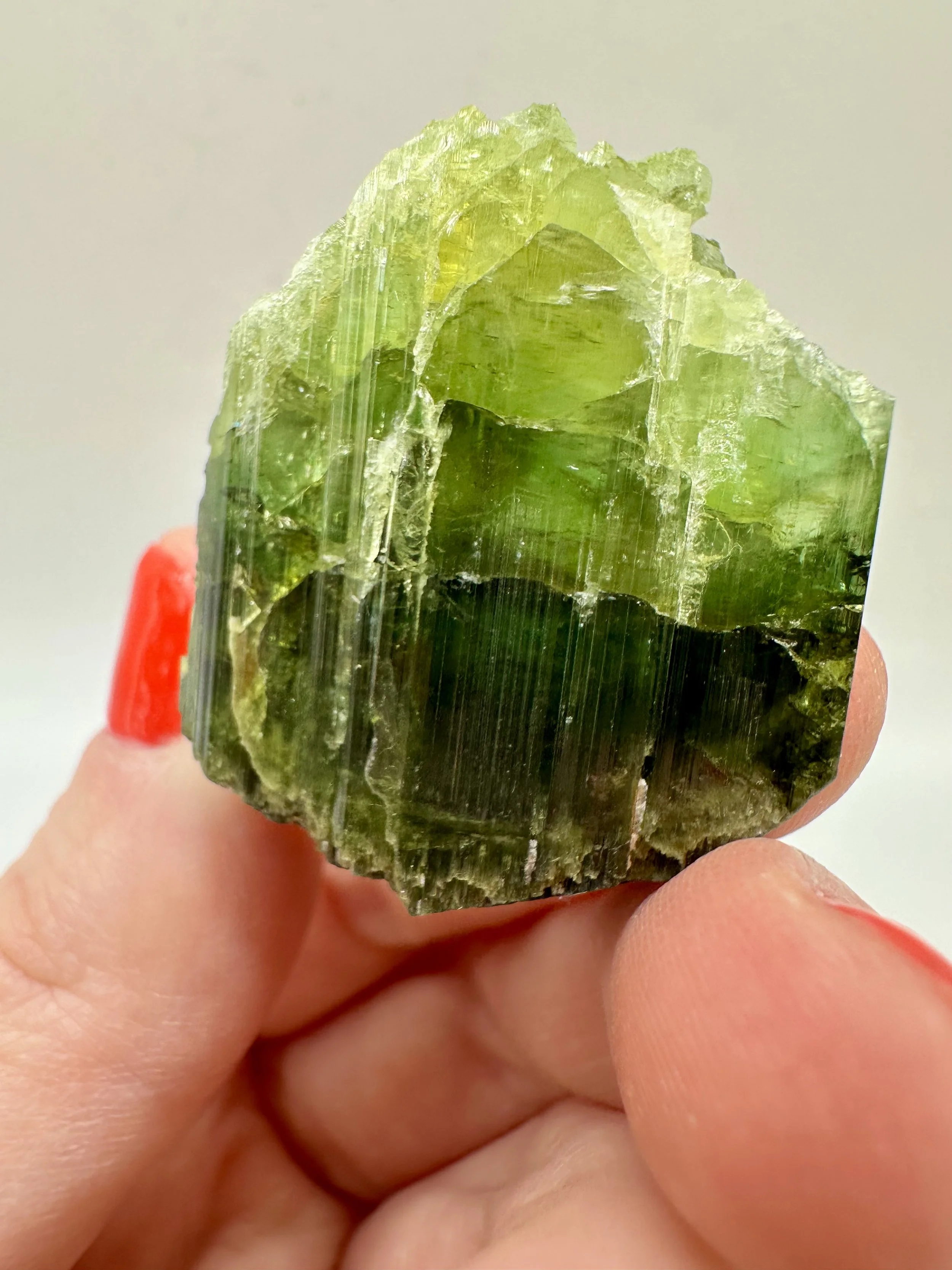 Photo Apr 04 2026, 2 37 38 PM.jpg