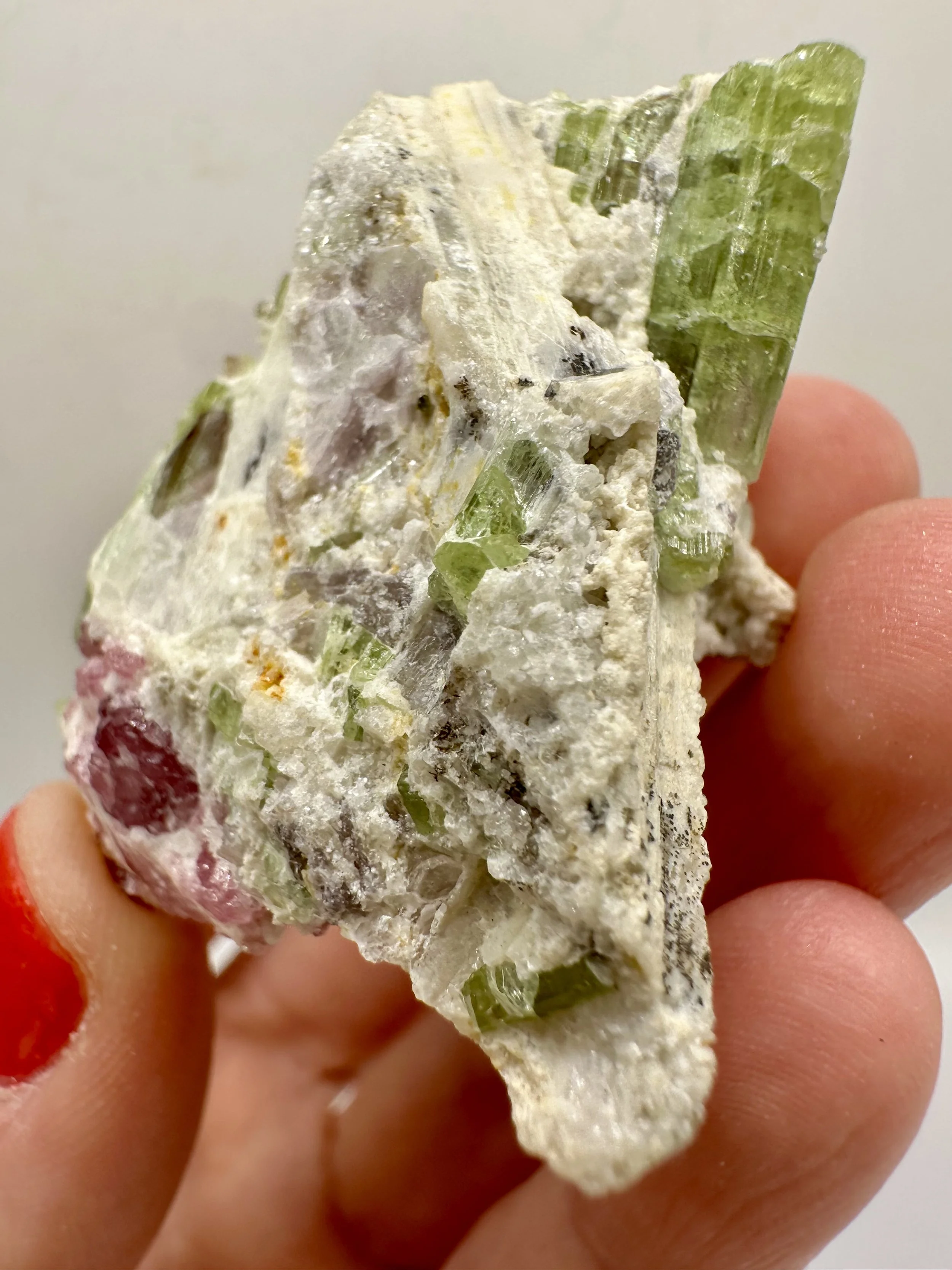 Photo Apr 04 2026, 2 50 26 PM.jpg