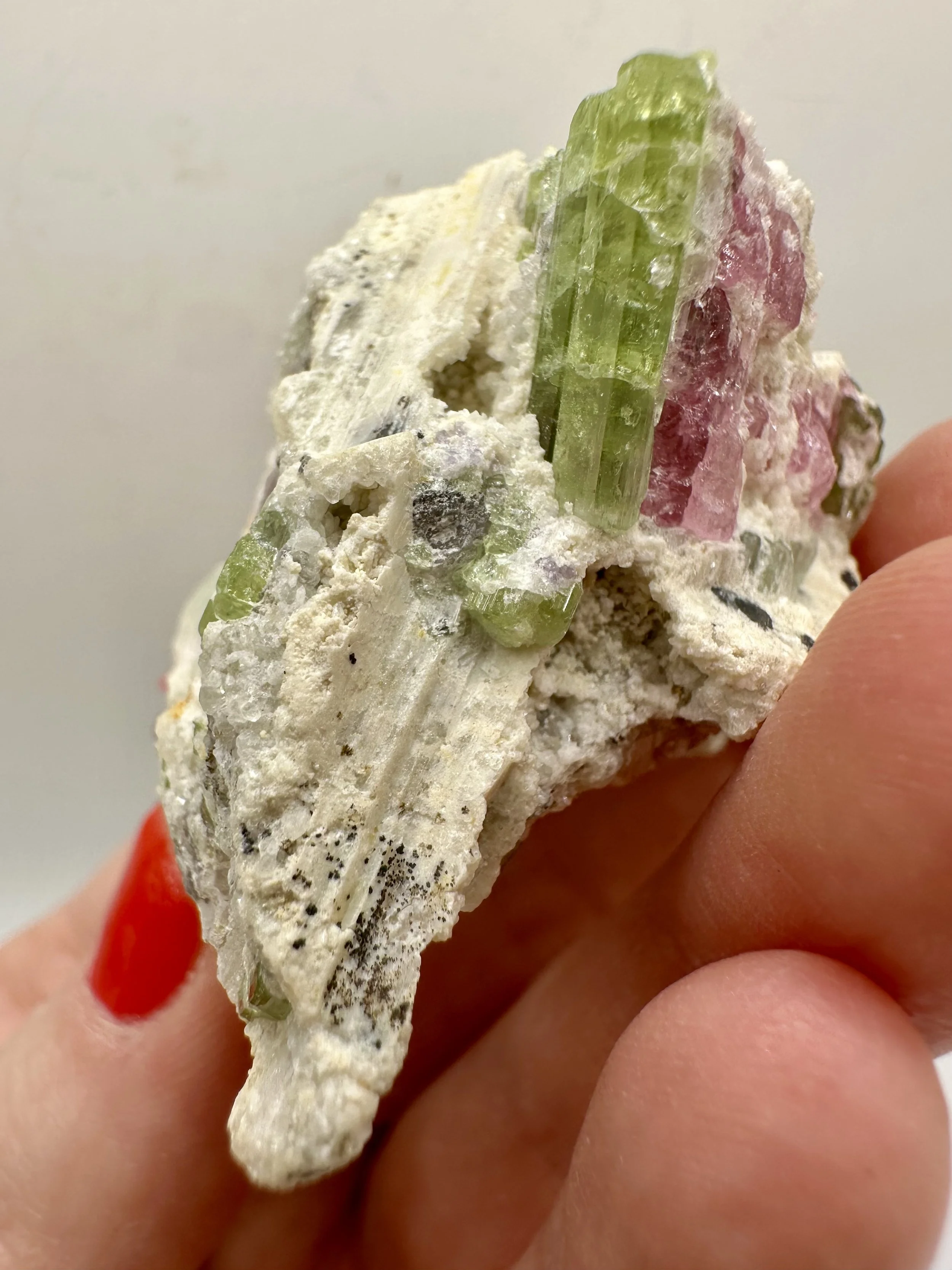 Photo Apr 04 2026, 2 50 27 PM.jpg