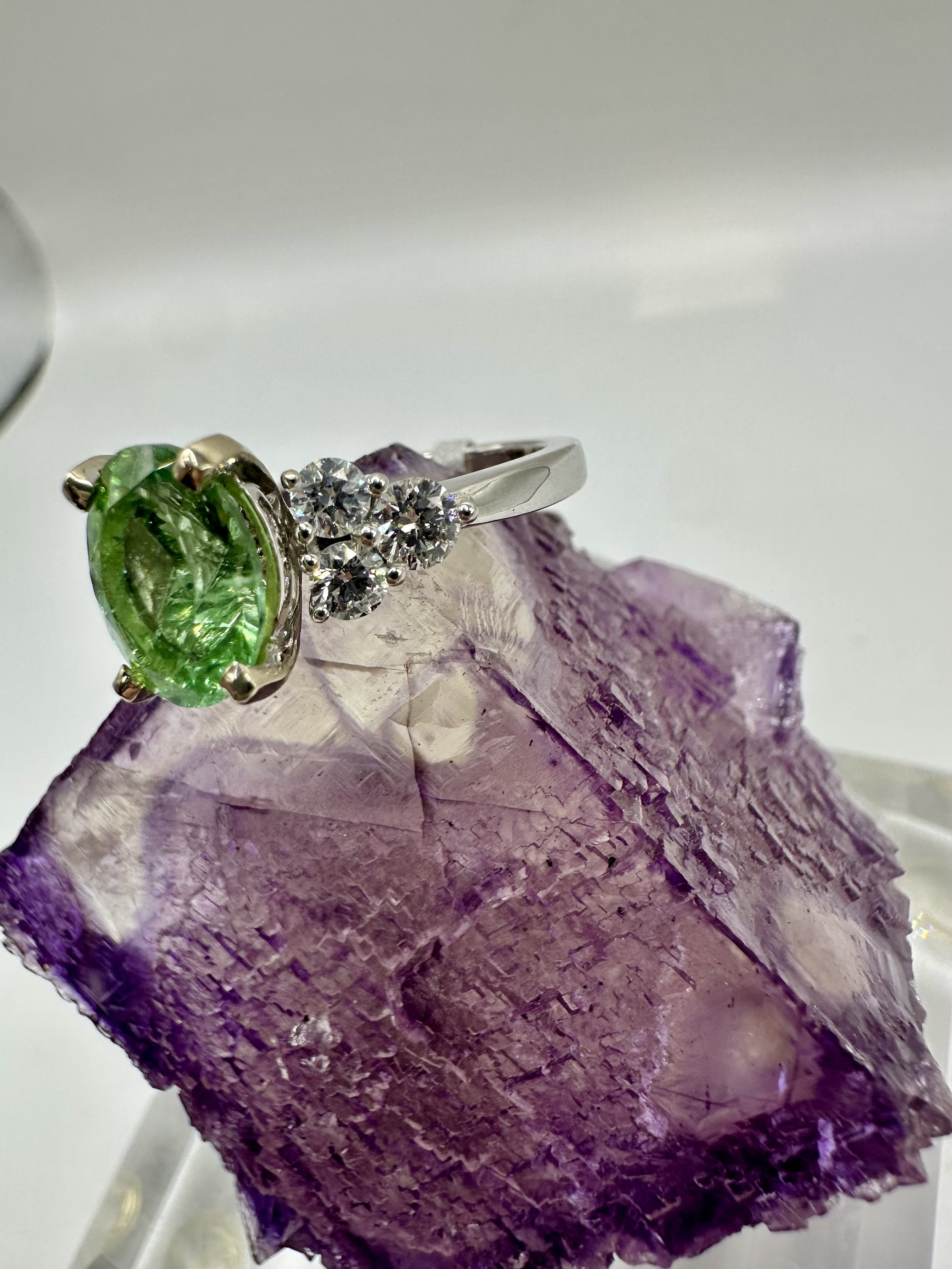 Photo Feb 14 2026, 12 00 28 PM.jpg