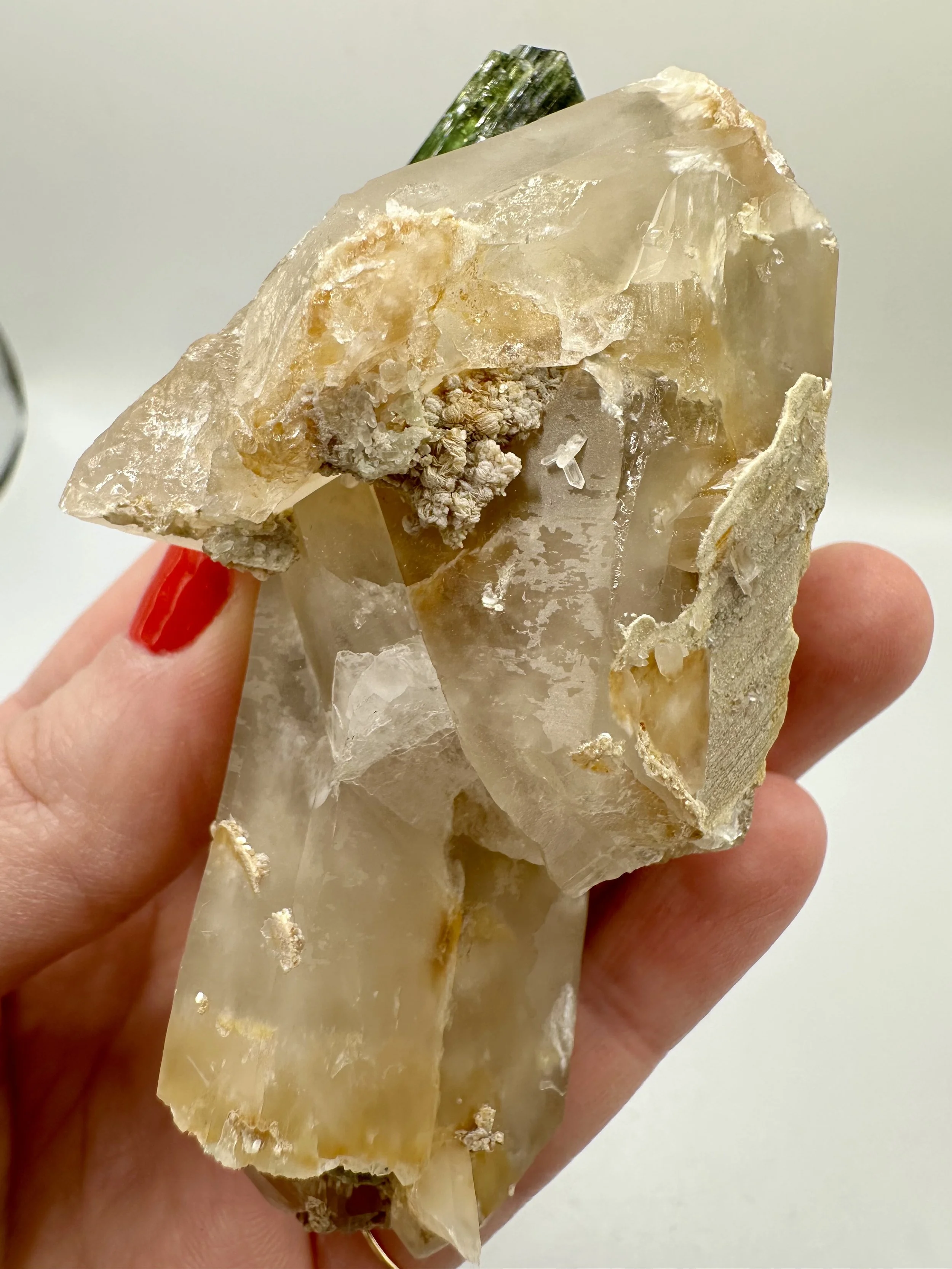 Photo Apr 04 2026, 2 43 02 PM.jpg