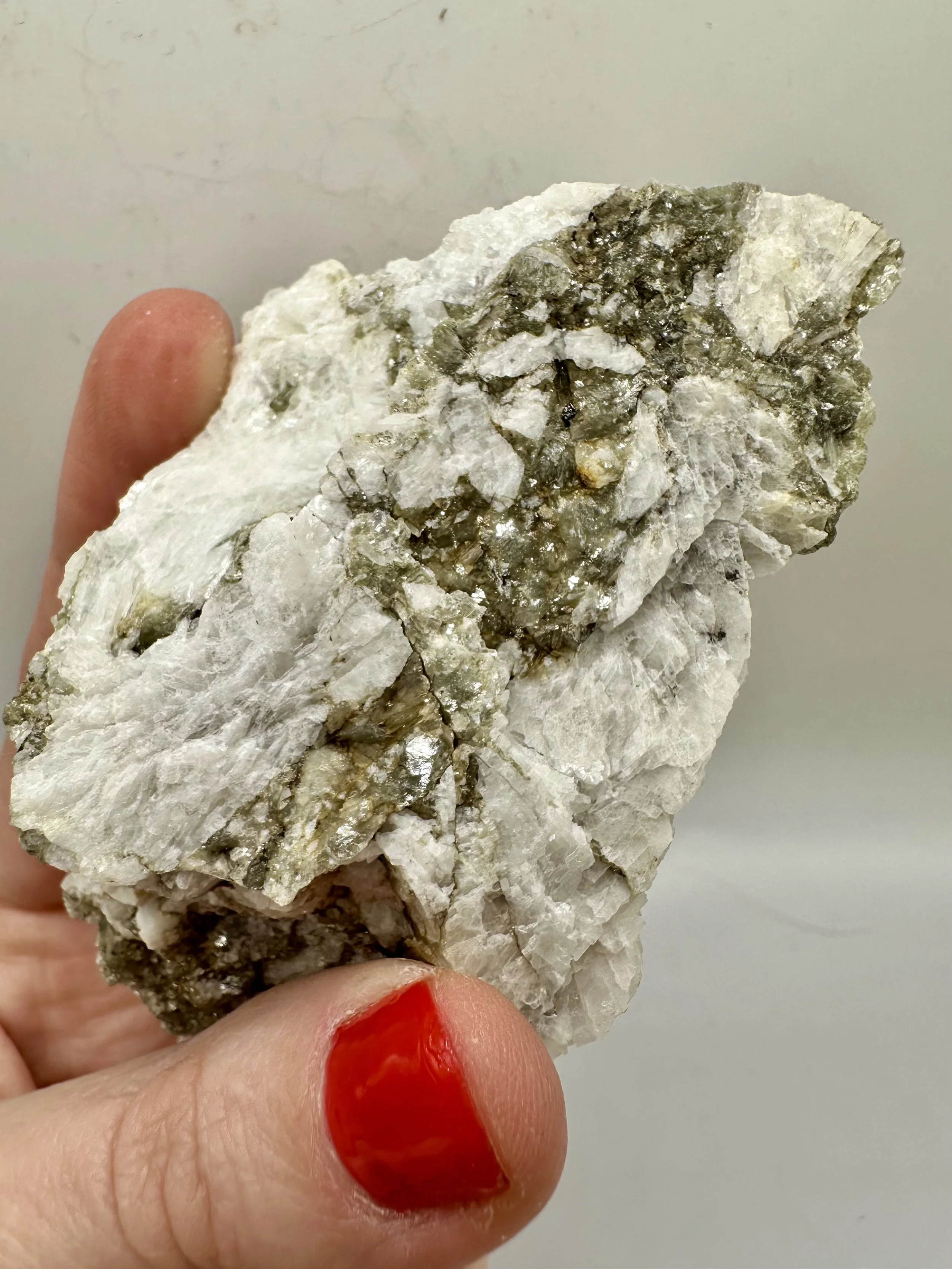 Photo Apr 04 2026, 2 40 10 PM.jpg