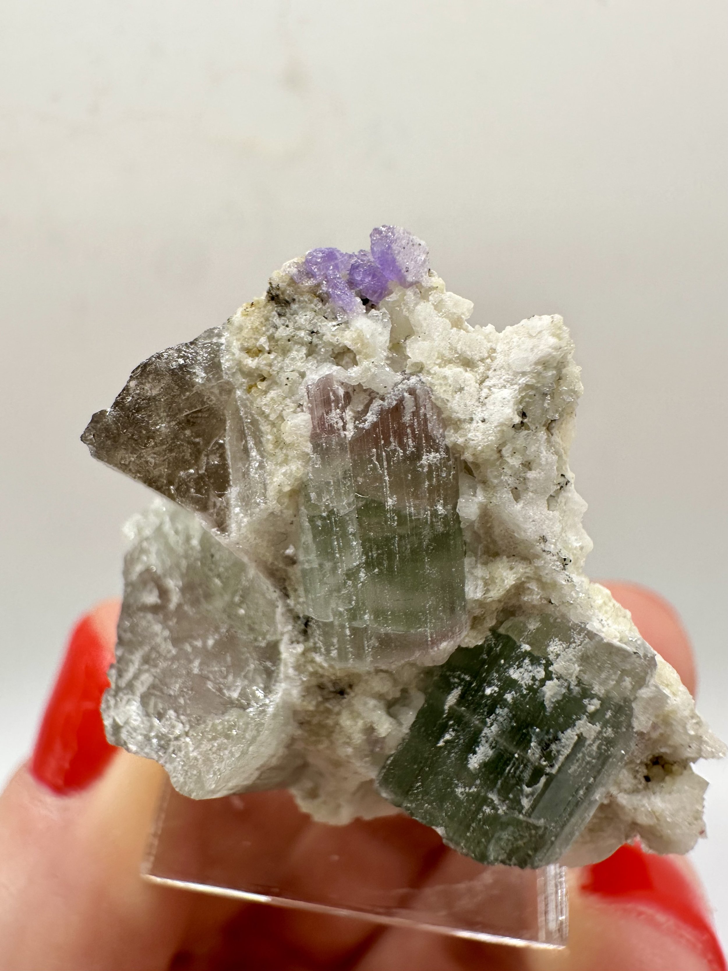 Photo Apr 04 2026, 2 54 34 PM.jpg