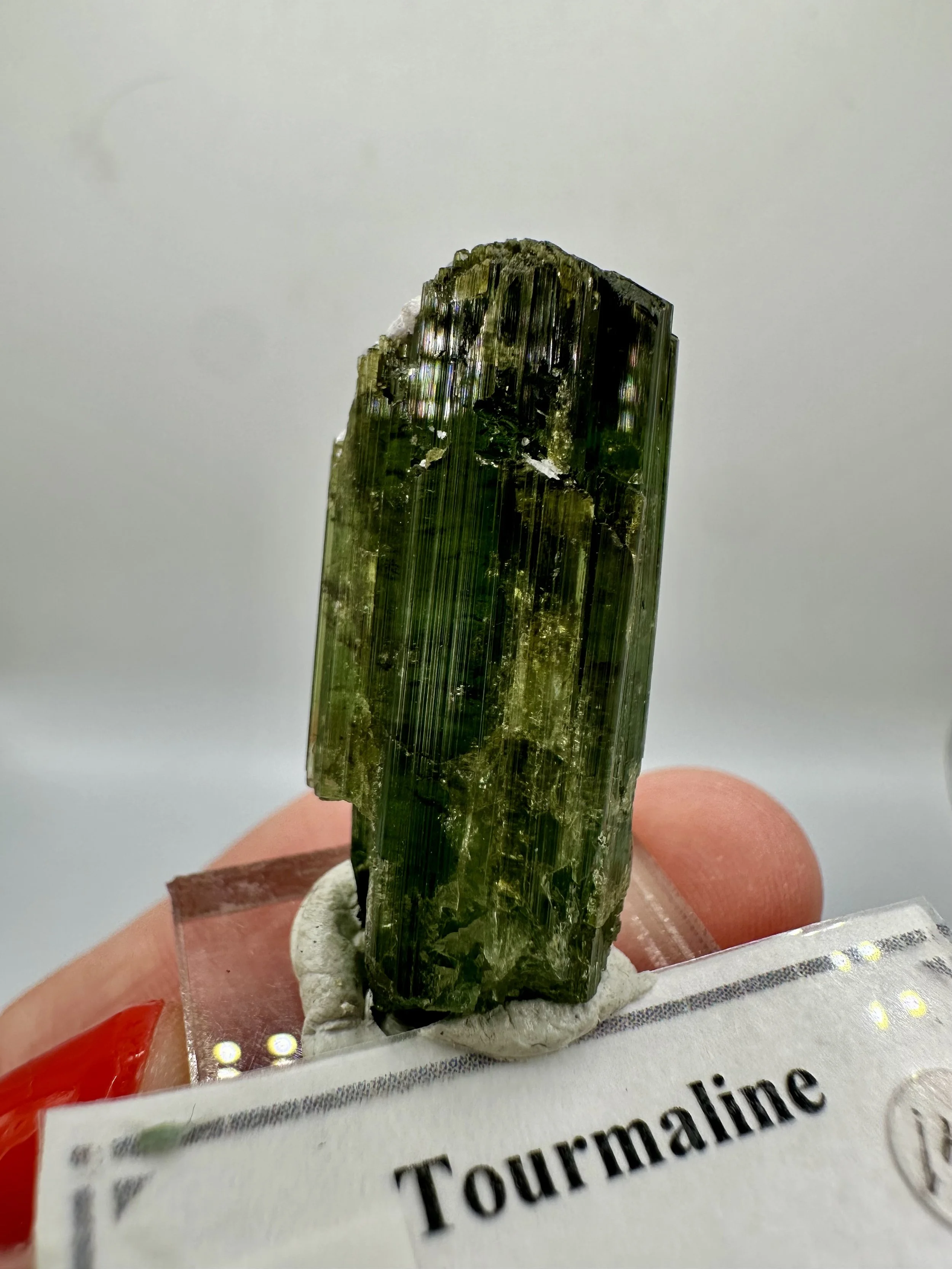 Photo Apr 04 2026, 2 47 03 PM.jpg