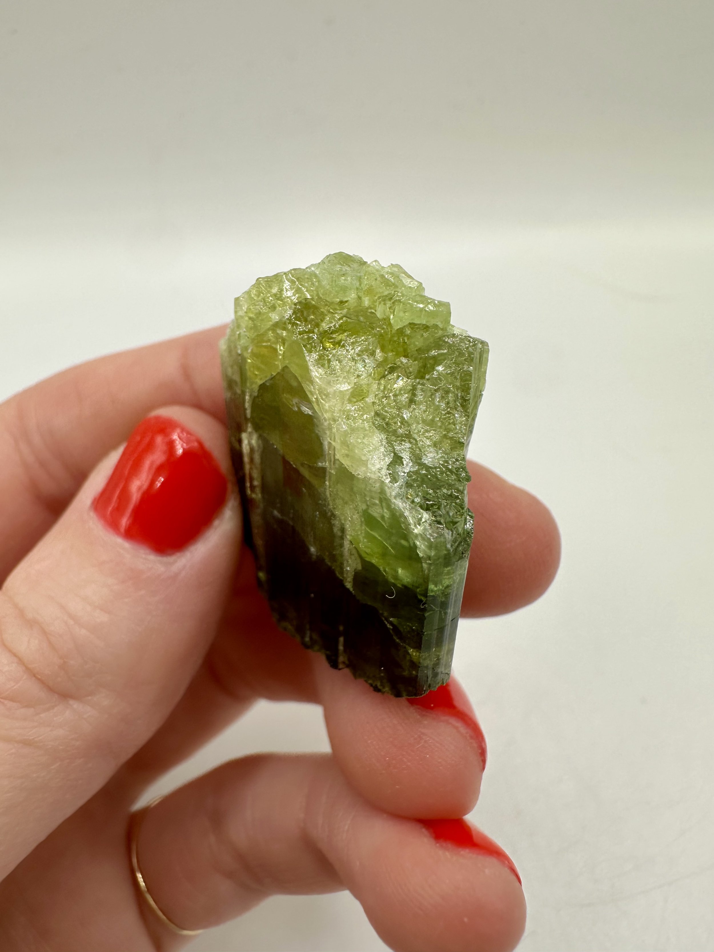 Photo Apr 04 2026, 2 37 07 PM.jpg