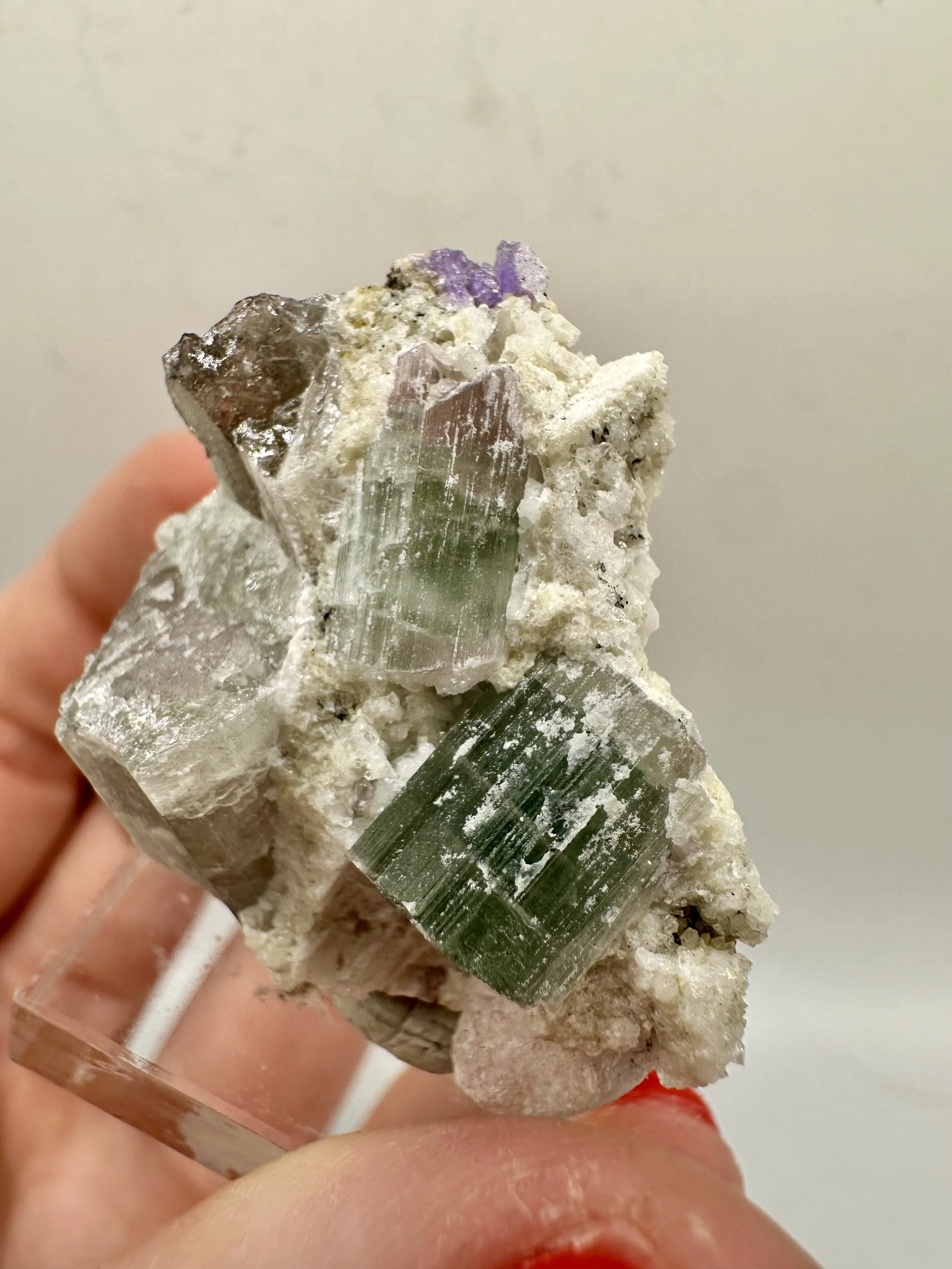 Photo Apr 04 2026, 2 54 59 PM.jpg